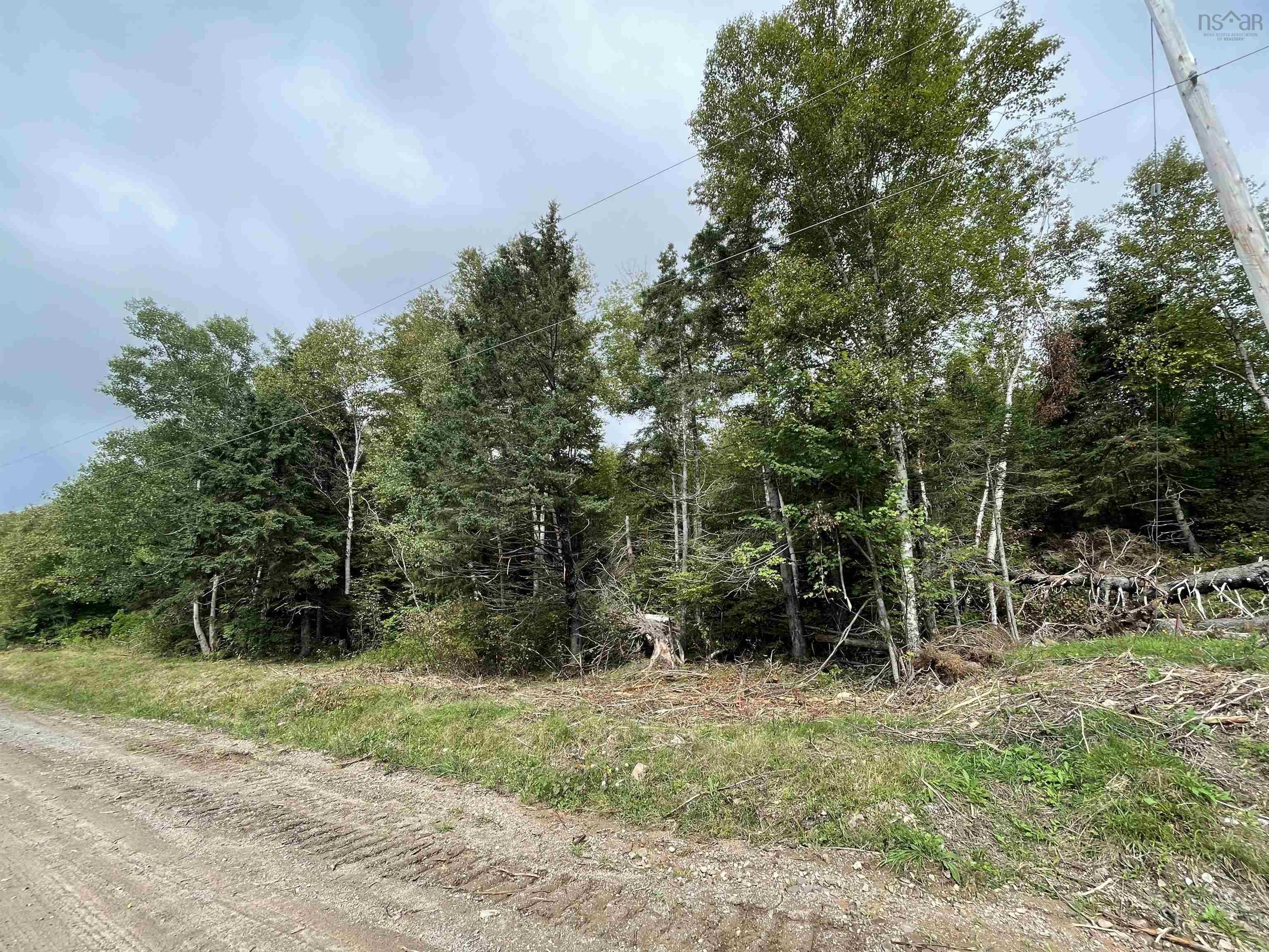 $150,000.00: Orangedale-Iona Road, Orangedale