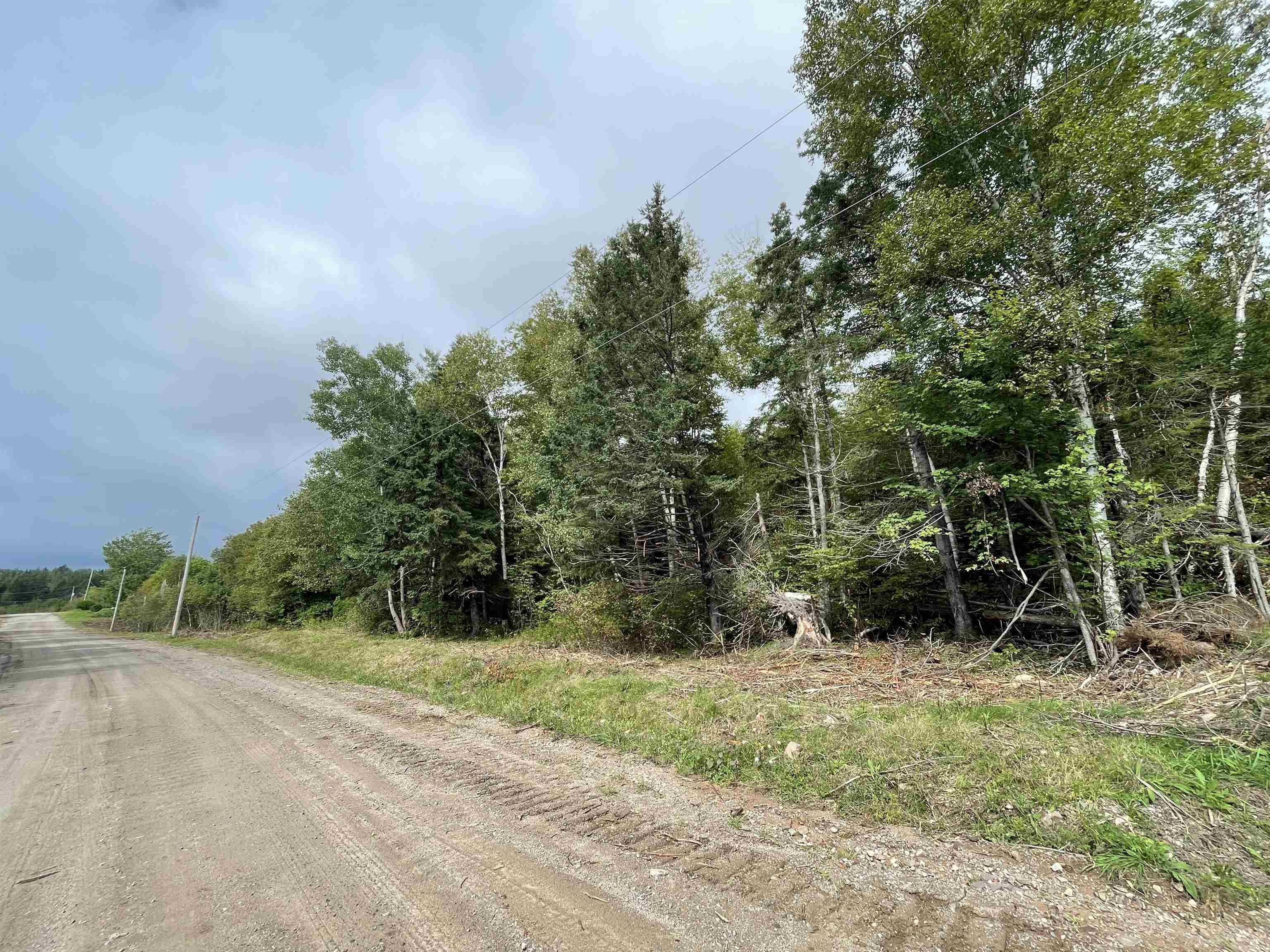 $150,000.00: Orangedale-Iona Road, Orangedale