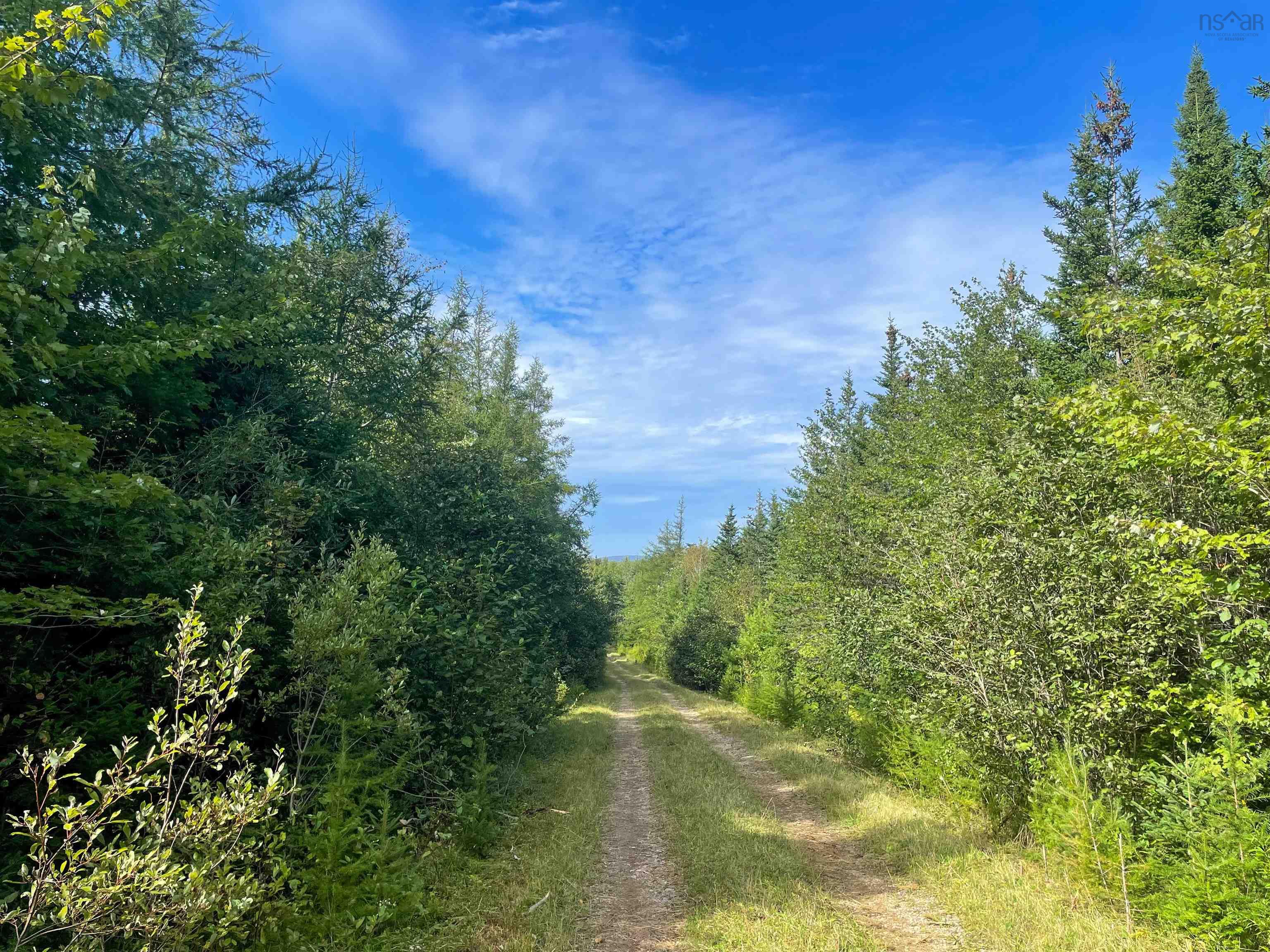 $150,000.00: Orangedale-Iona Road, Orangedale