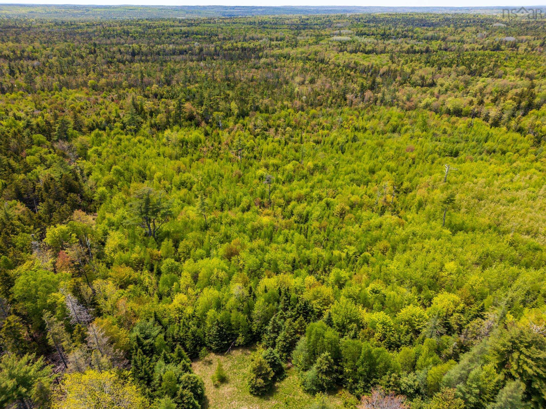 $44,000.00: Land Victory Road, Victory