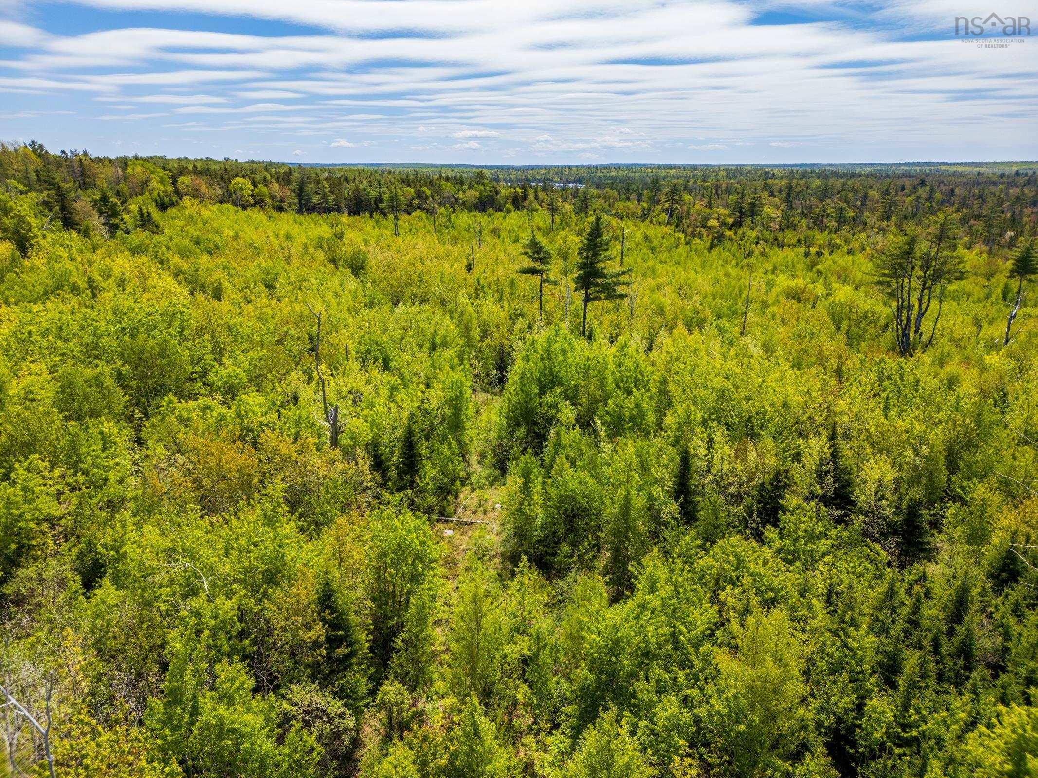 $44,000.00: Land Victory Road, Victory