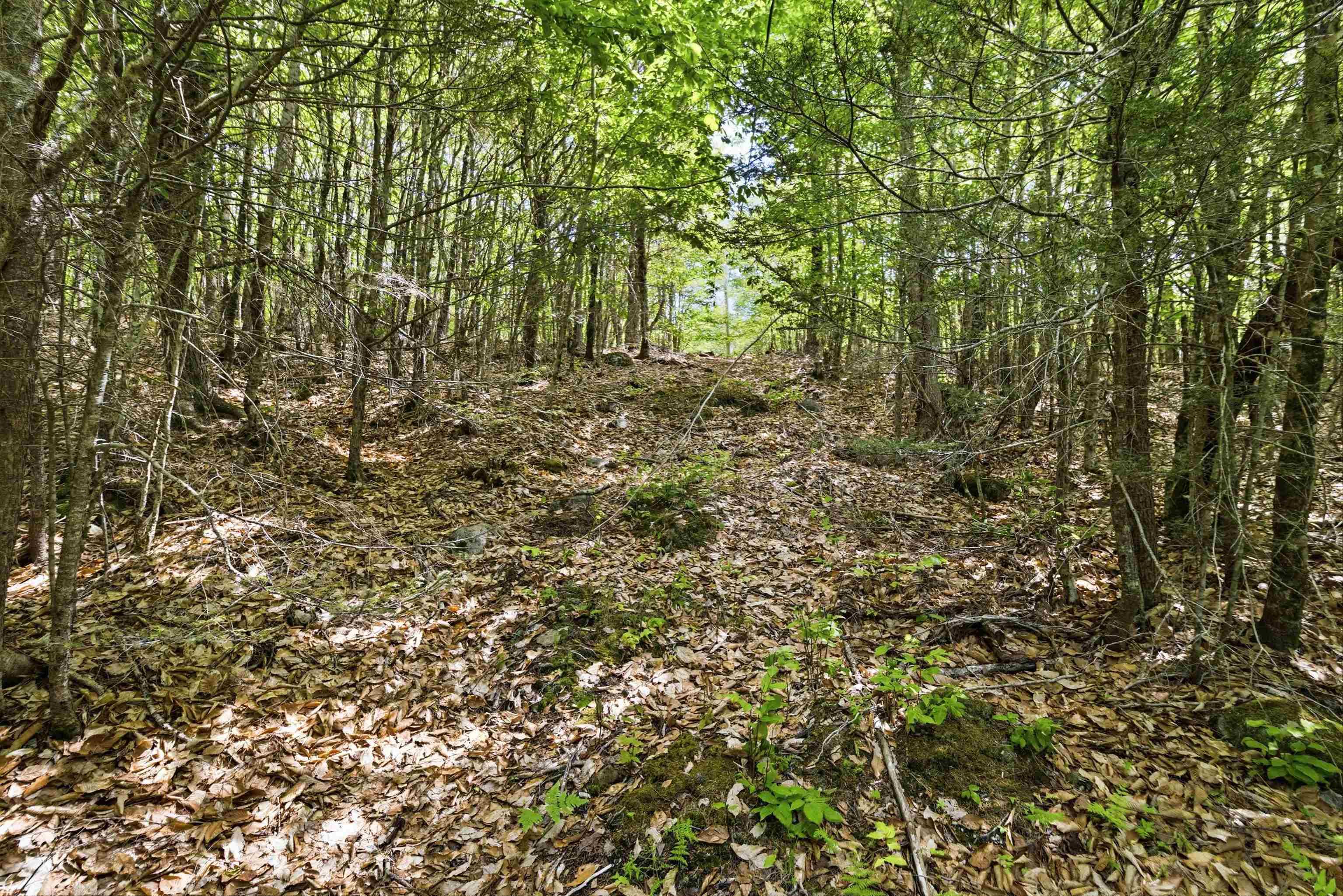 $35,000.00: Lot 30 Maplesue Point Drive, Molega