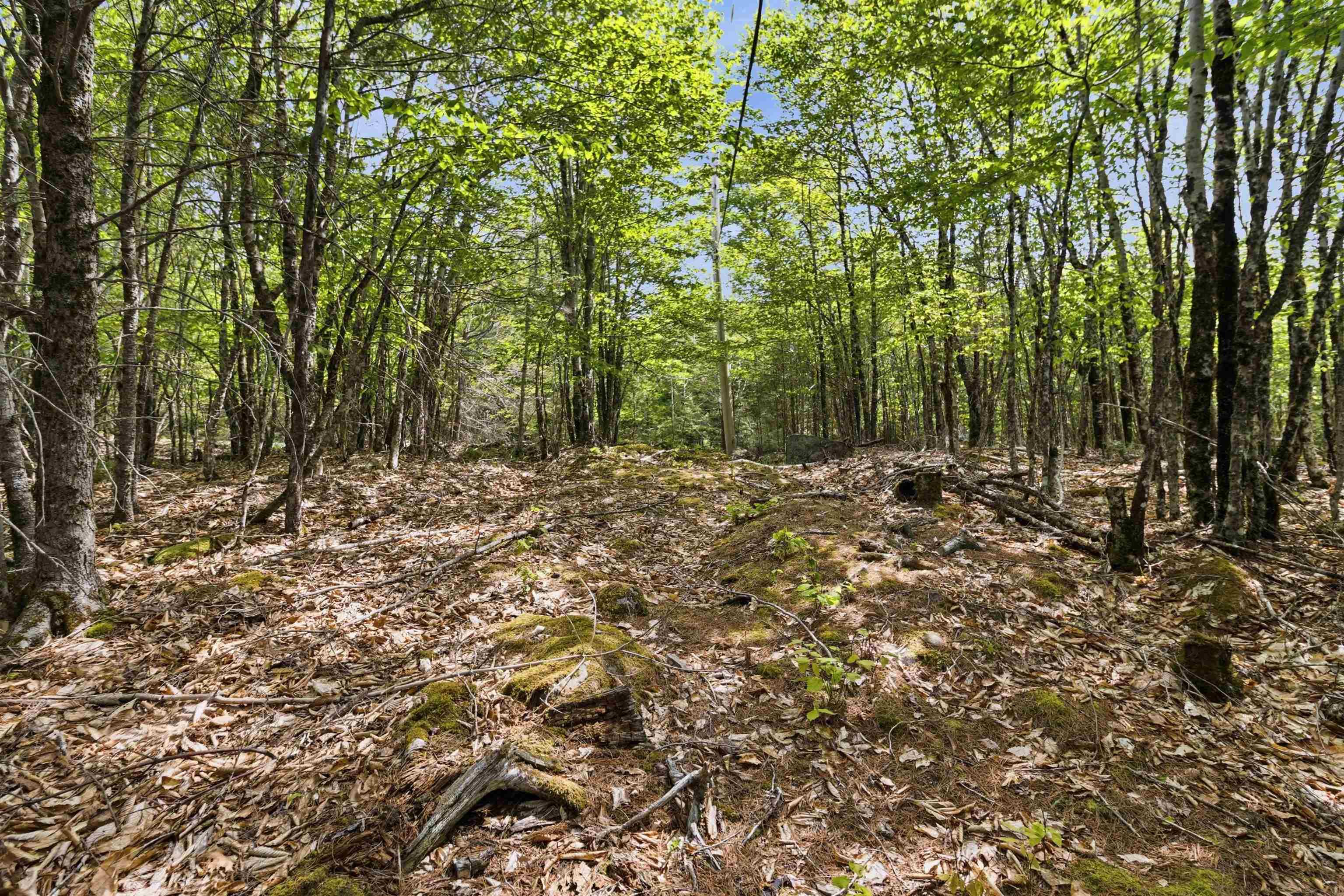 $35,000.00: Lot 30 Maplesue Point Drive, Molega