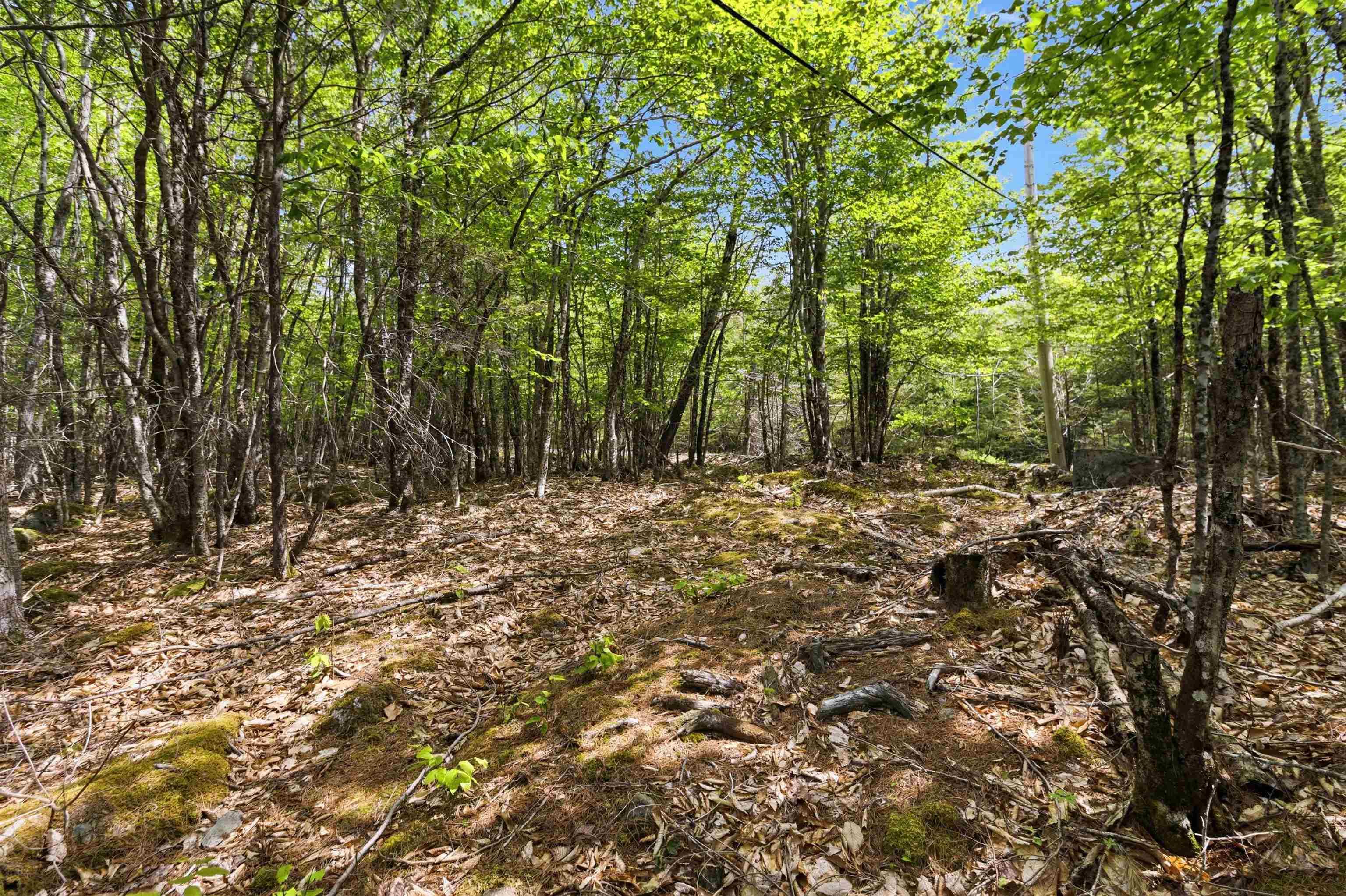 $35,000.00: Lot 30 Maplesue Point Drive, Molega