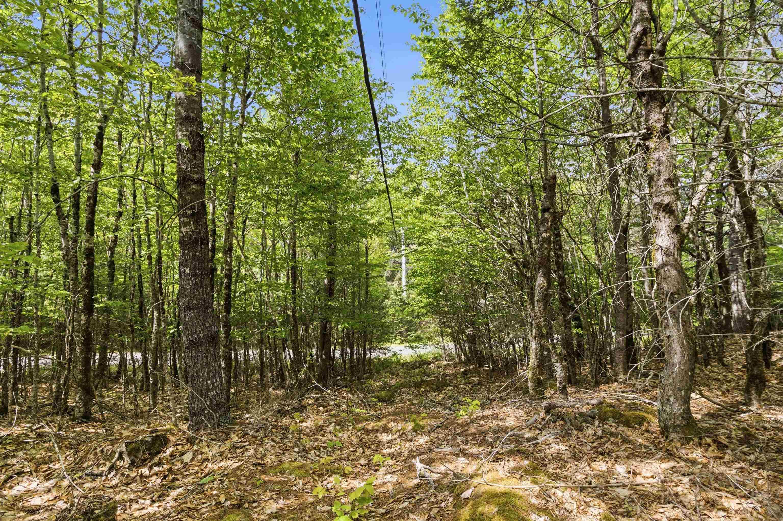 $35,000.00: Lot 30 Maplesue Point Drive, Molega