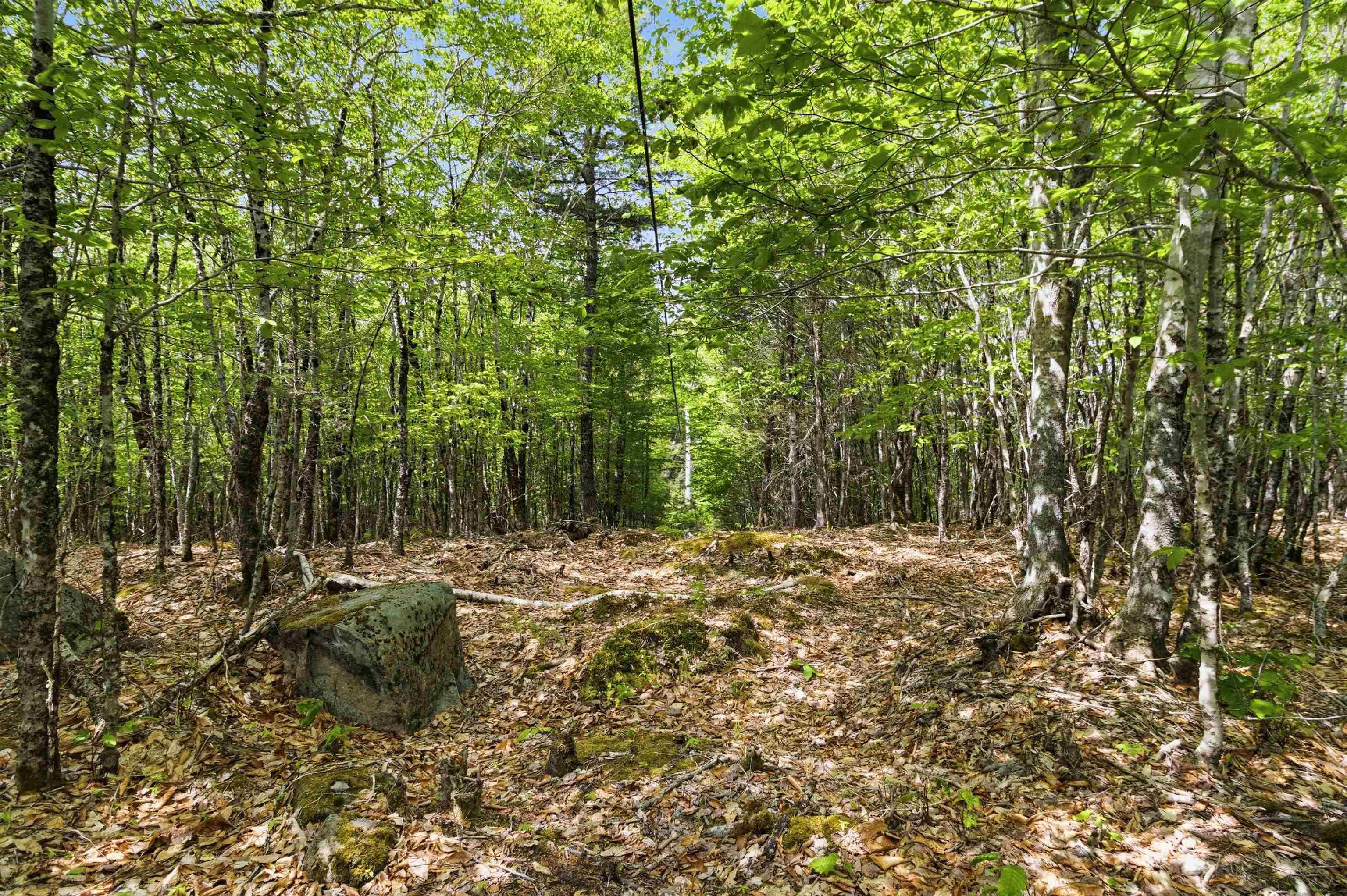 $35,000.00: Lot 30 Maplesue Point Drive, Molega