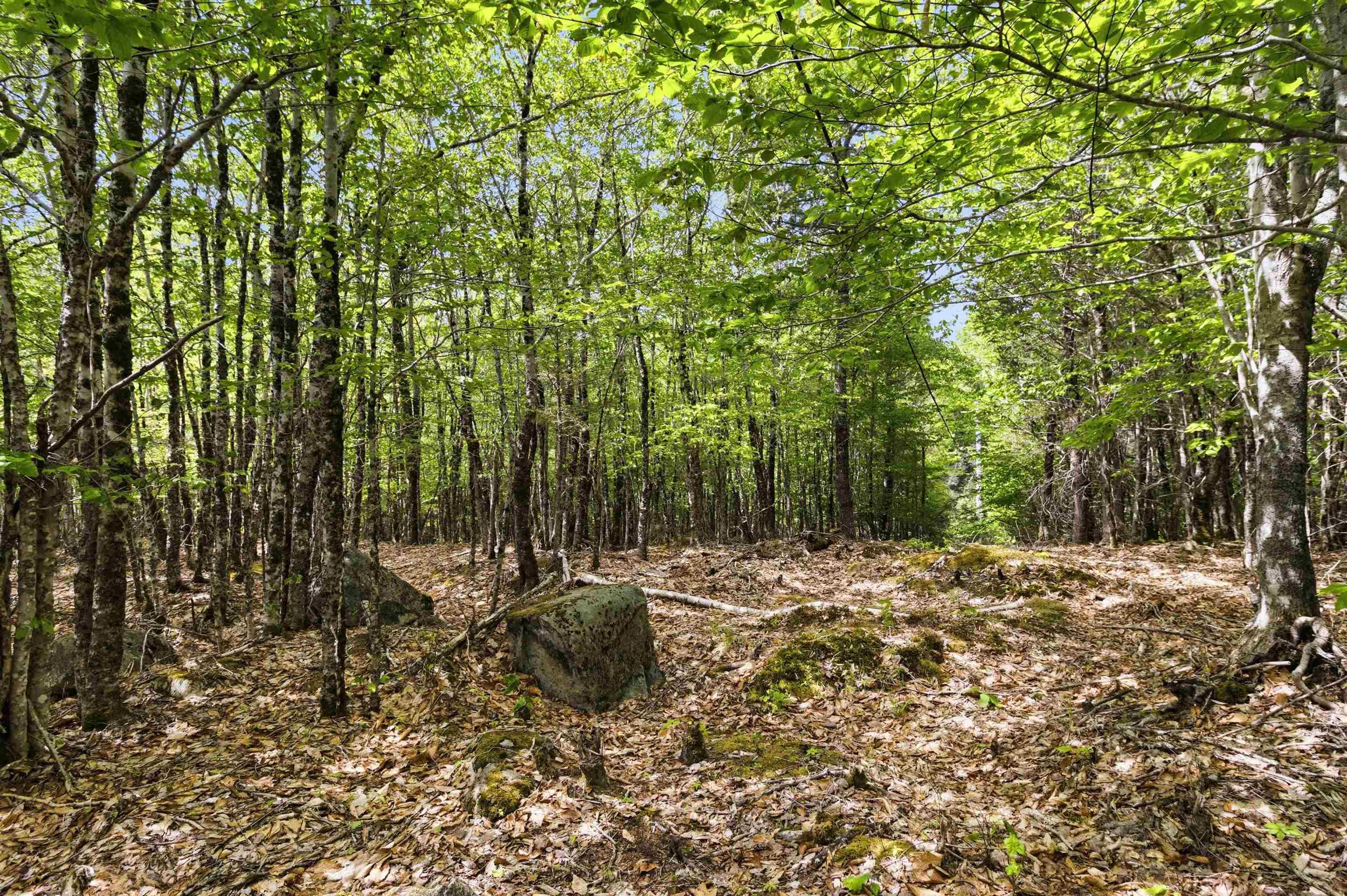 $35,000.00: Lot 30 Maplesue Point Drive, Molega