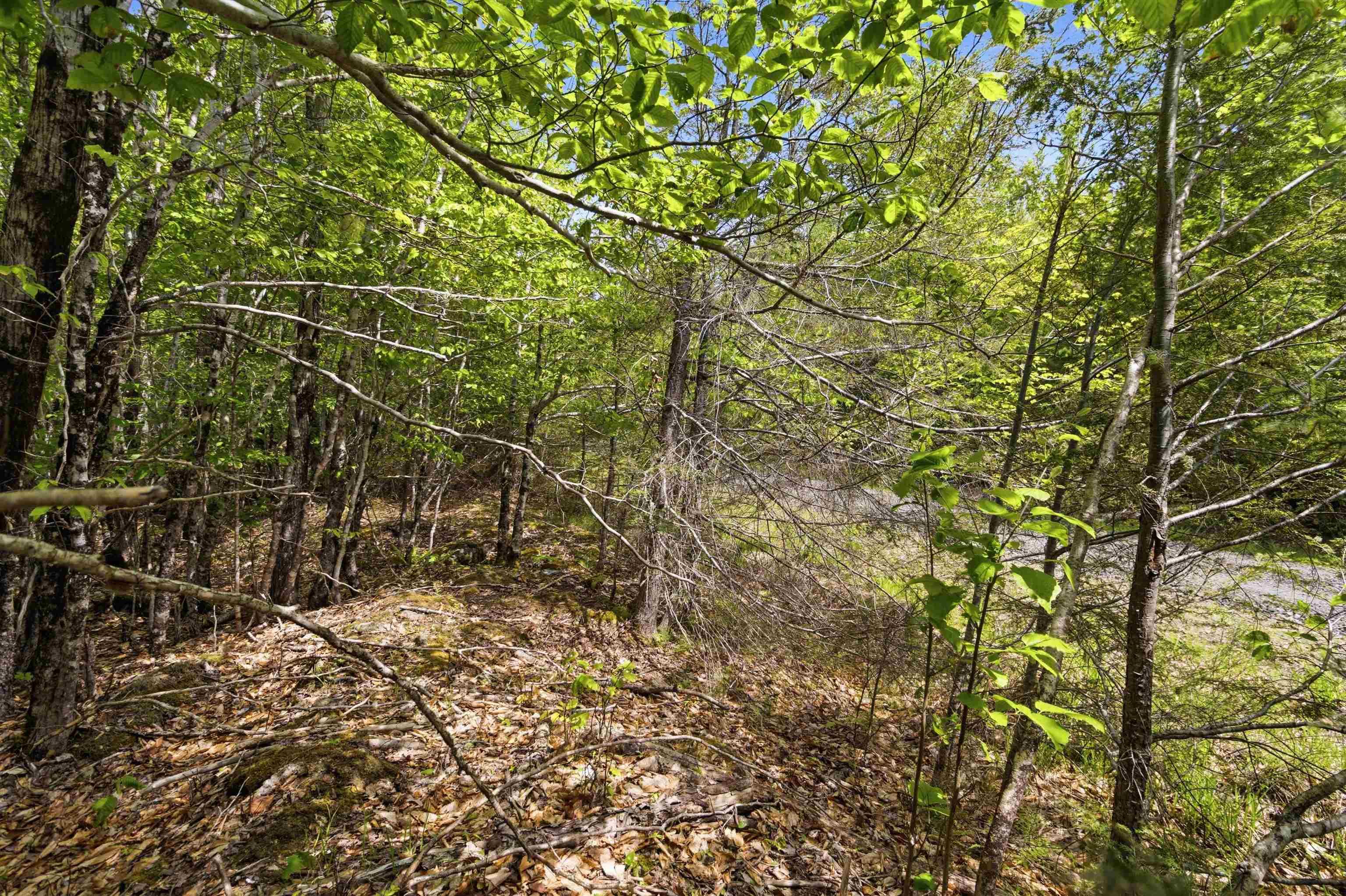 $35,000.00: Lot 30 Maplesue Point Drive, Molega