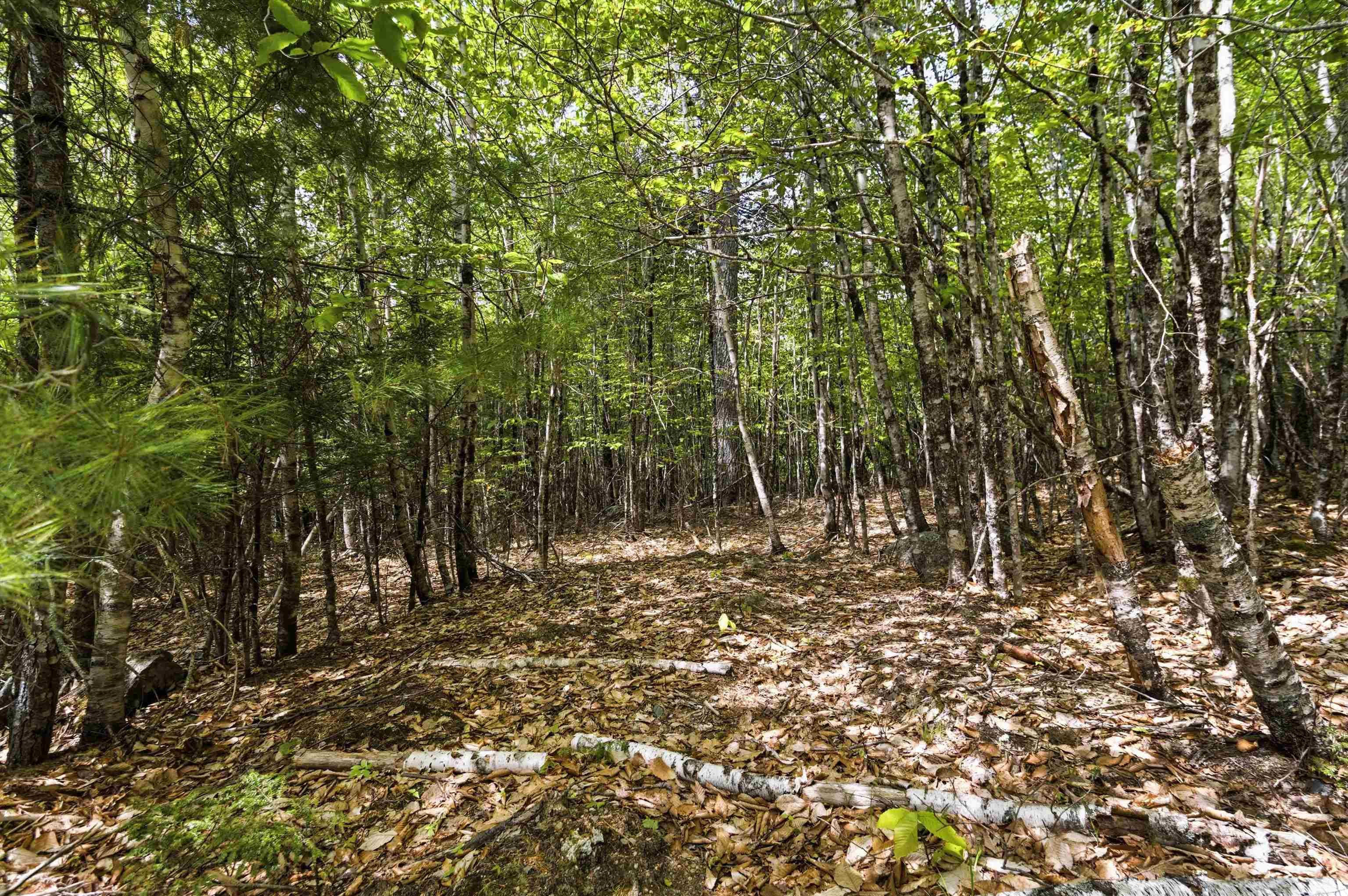 $35,000.00: Lot 30 Maplesue Point Drive, Molega