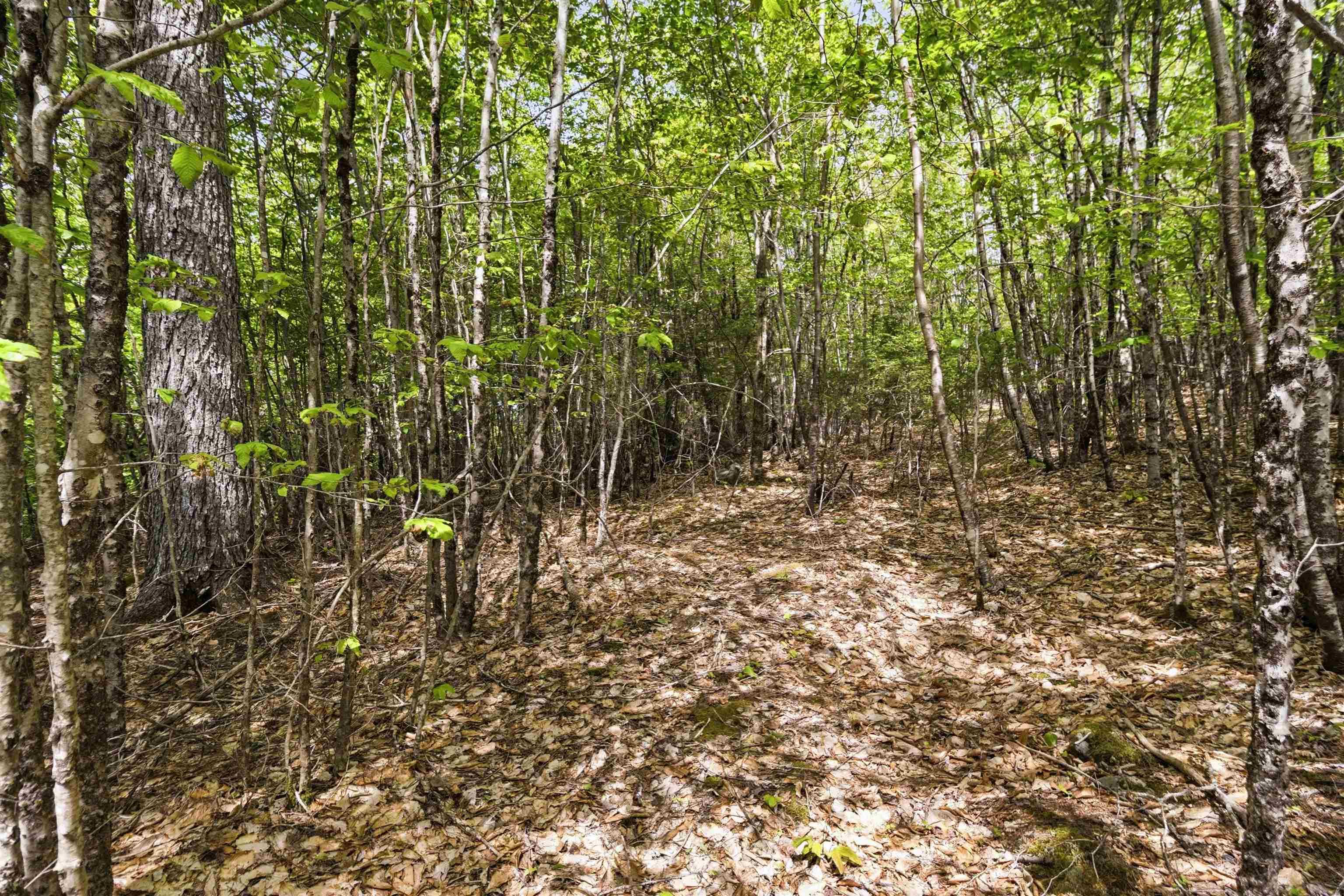 $35,000.00: Lot 30 Maplesue Point Drive, Molega