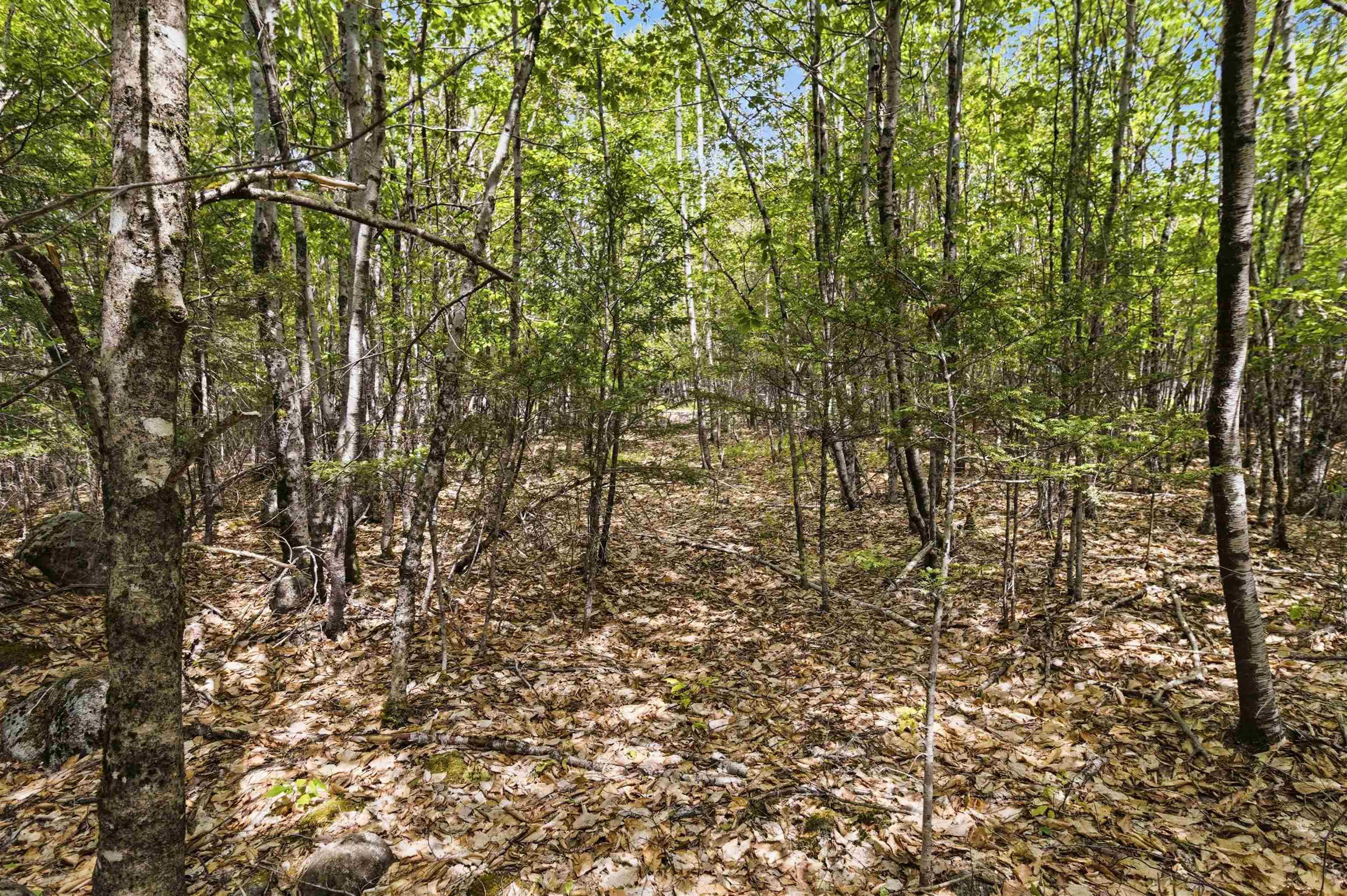 $35,000.00: Lot 30 Maplesue Point Drive, Molega