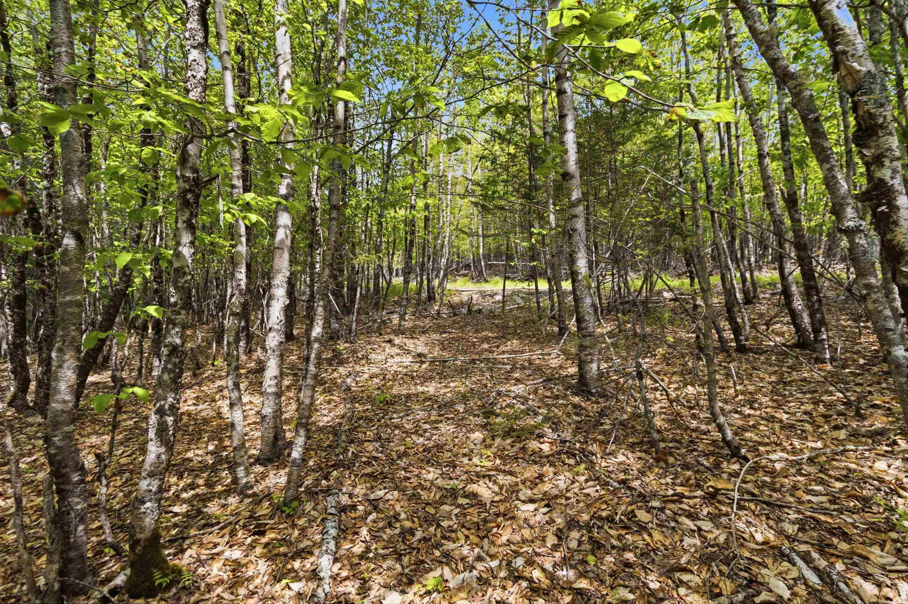 $35,000.00: Lot 30 Maplesue Point Drive, Molega