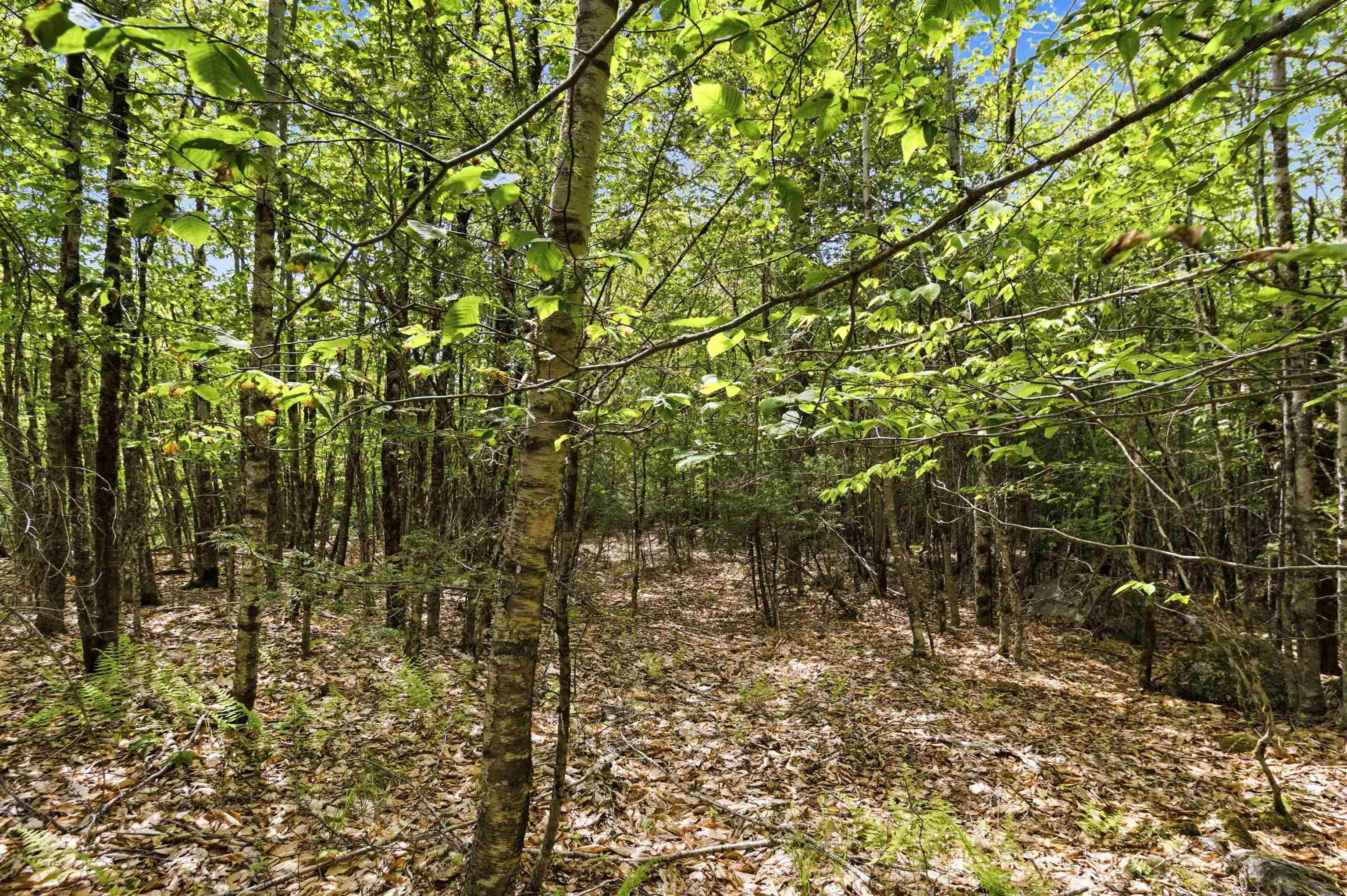 $35,000.00: Lot 30 Maplesue Point Drive, Molega