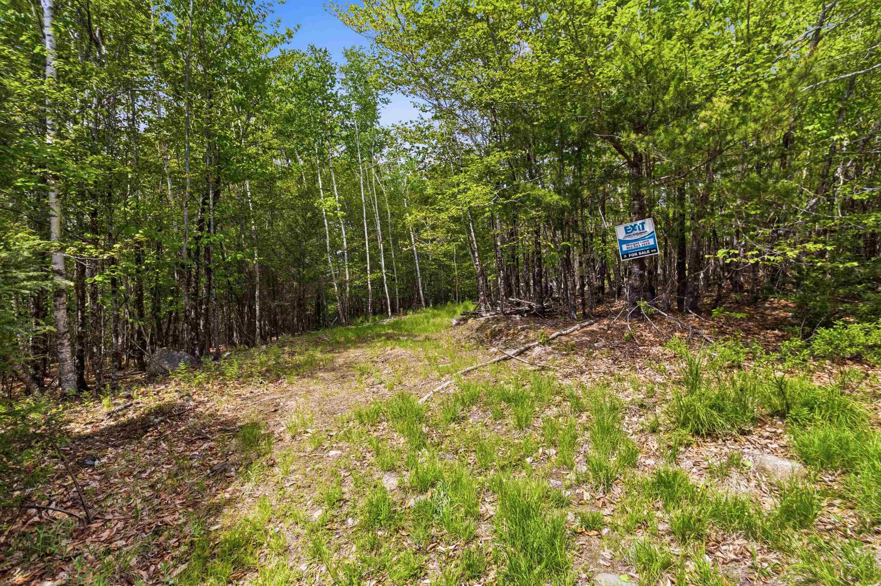 $35,000.00: Lot 30 Maplesue Point Drive, Molega