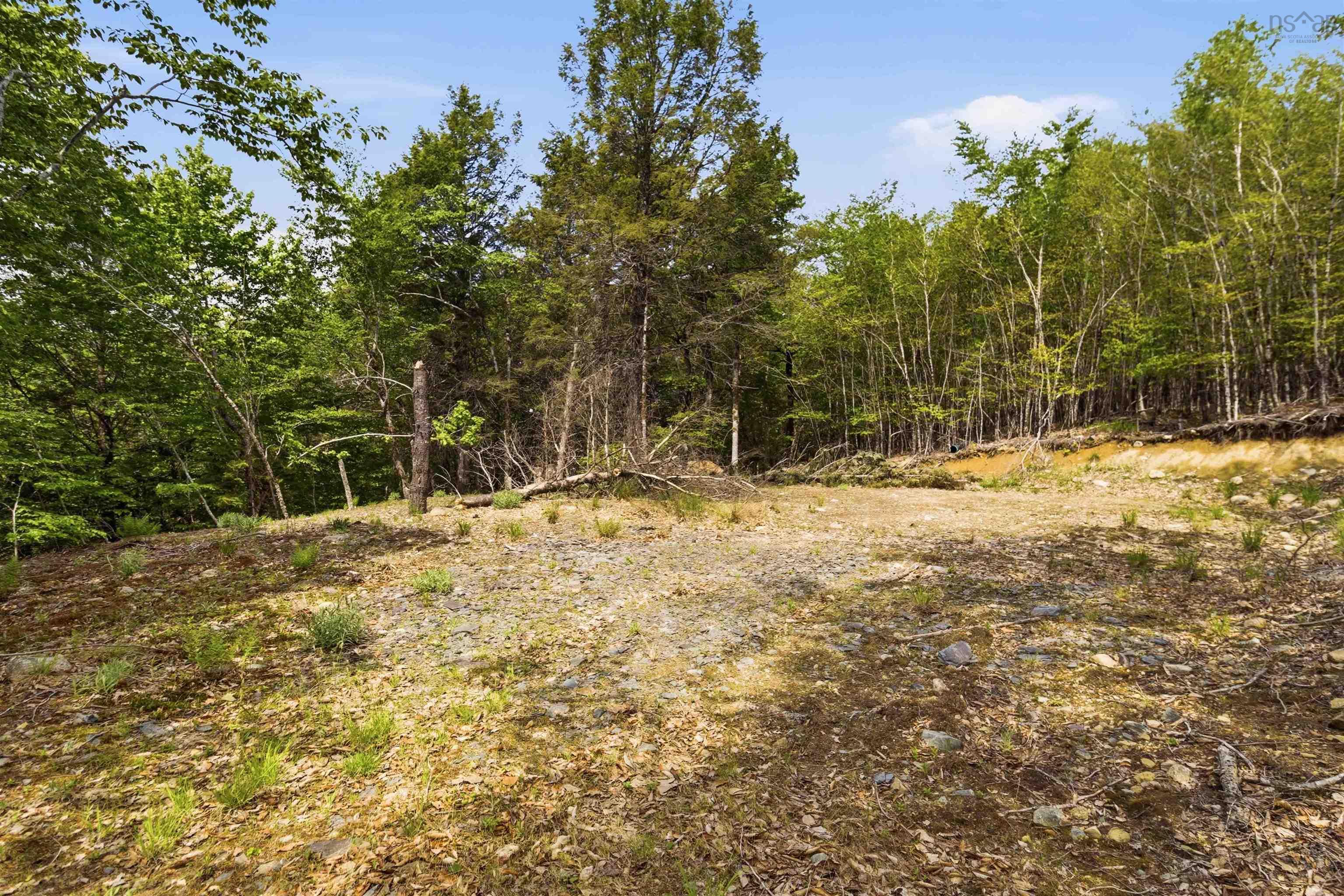 $35,000.00: Lot 30 Maplesue Point Drive, Molega