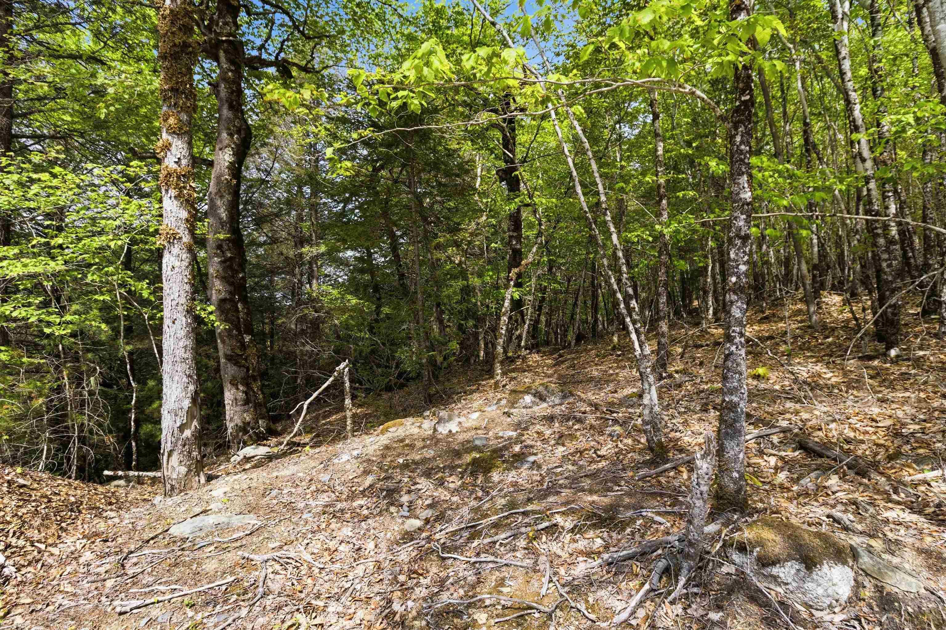 $35,000.00: Lot 30 Maplesue Point Drive, Molega