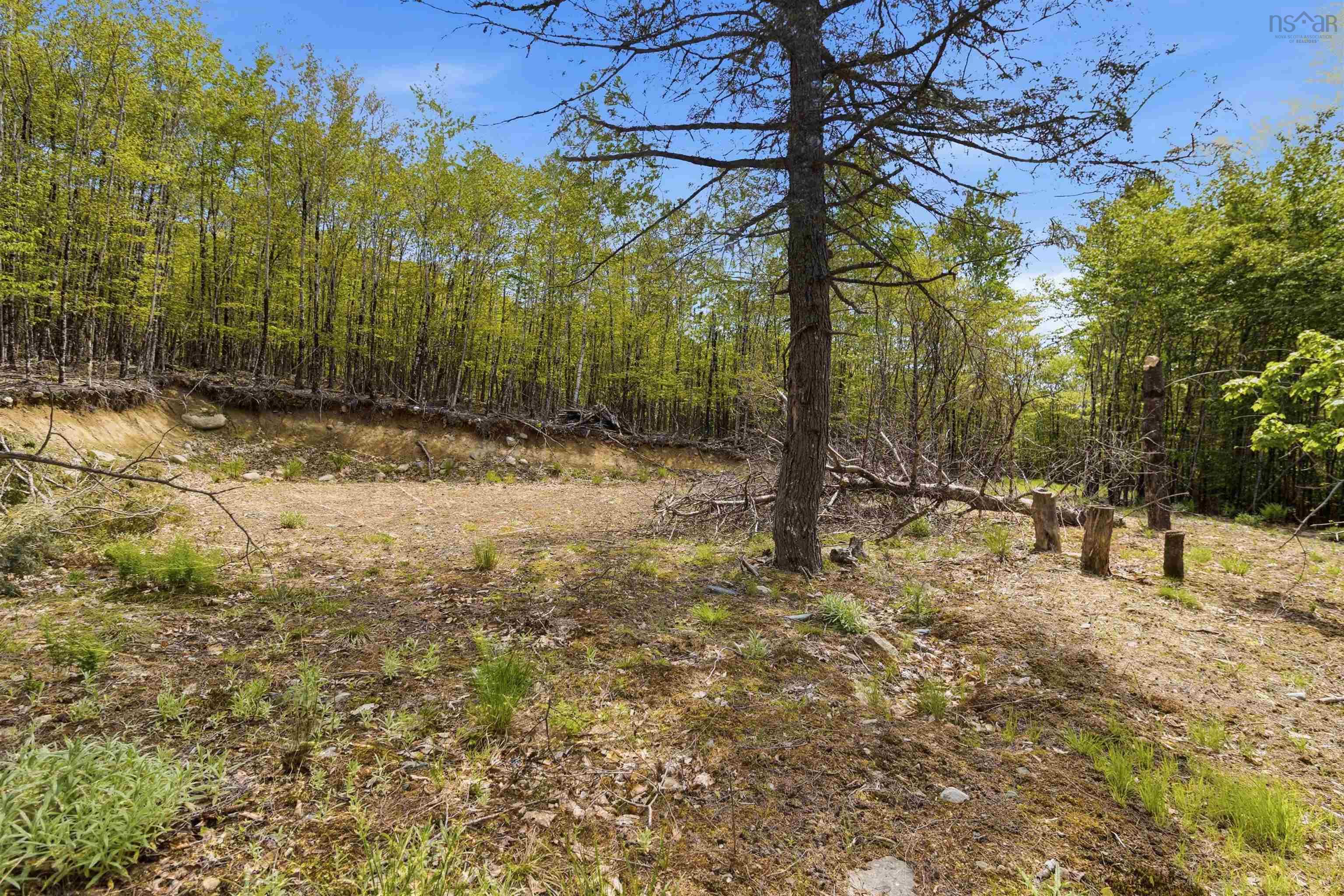 $35,000.00: Lot 30 Maplesue Point Drive, Molega