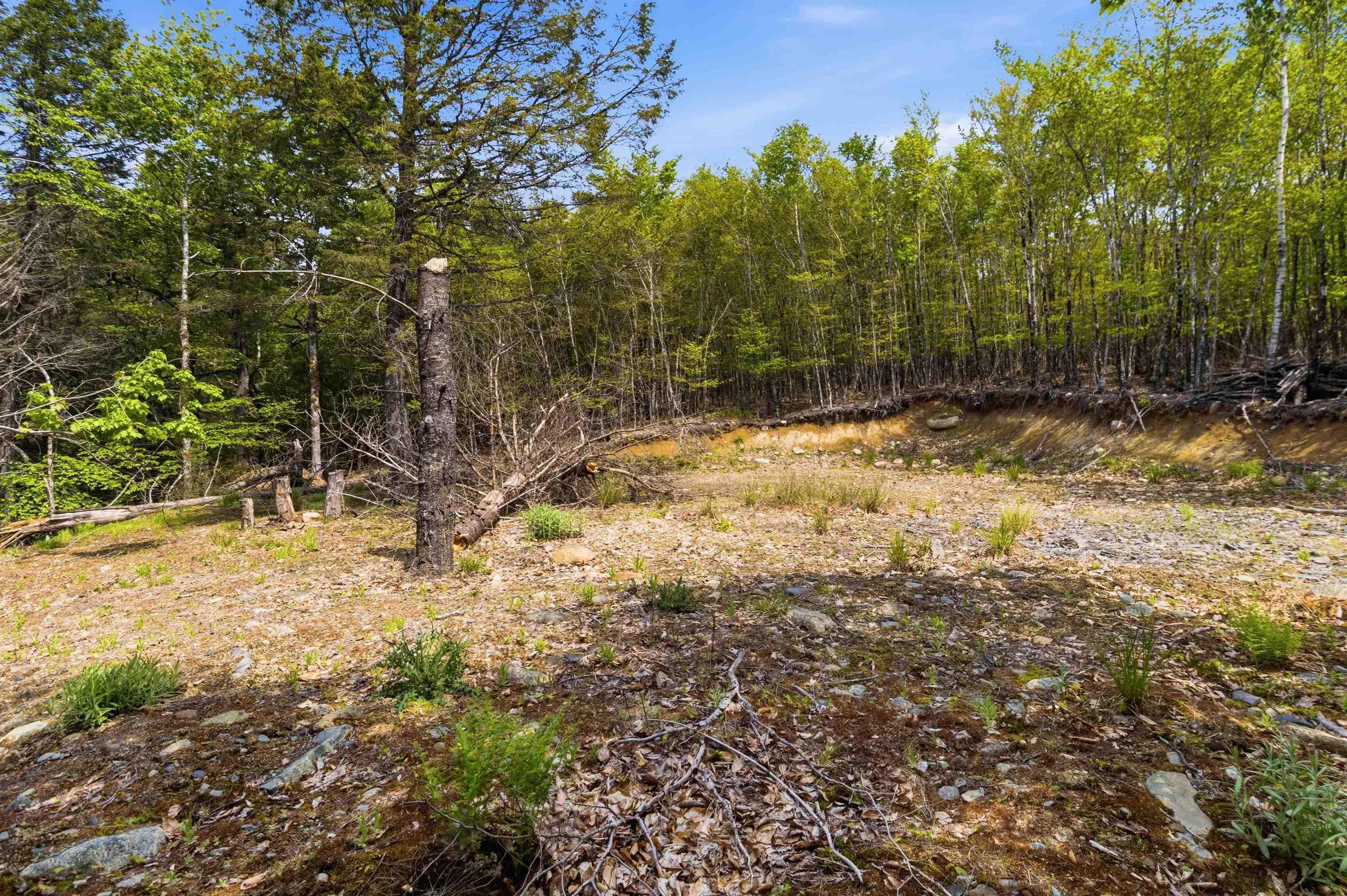 $35,000.00: Lot 30 Maplesue Point Drive, Molega