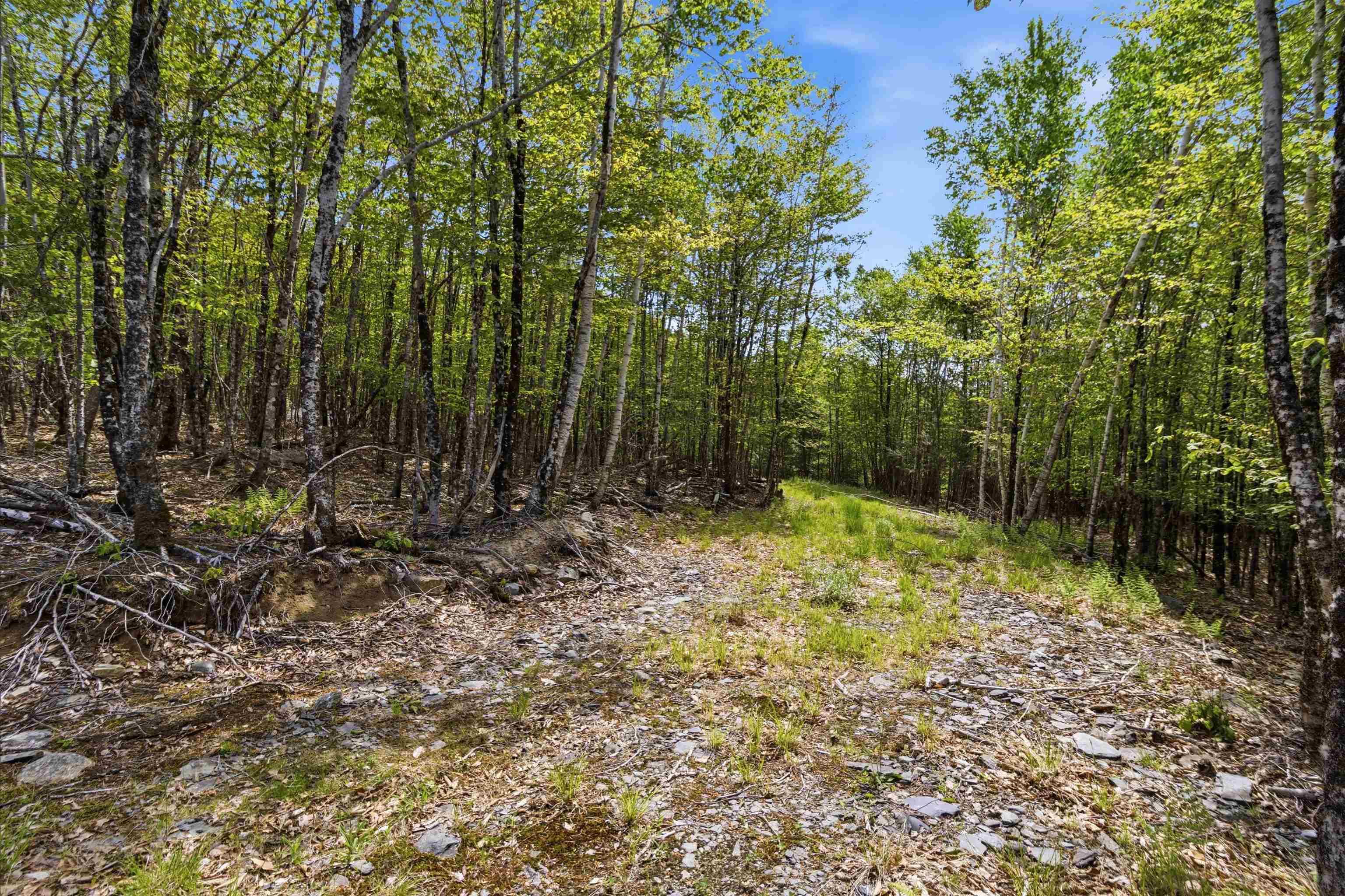 $35,000.00: Lot 30 Maplesue Point Drive, Molega