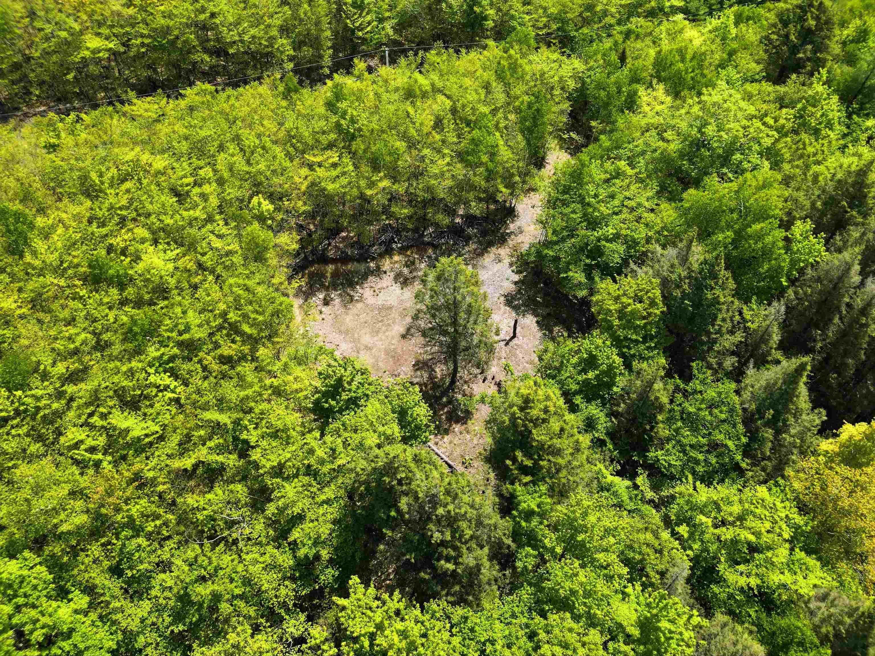$35,000.00: Lot 30 Maplesue Point Drive, Molega