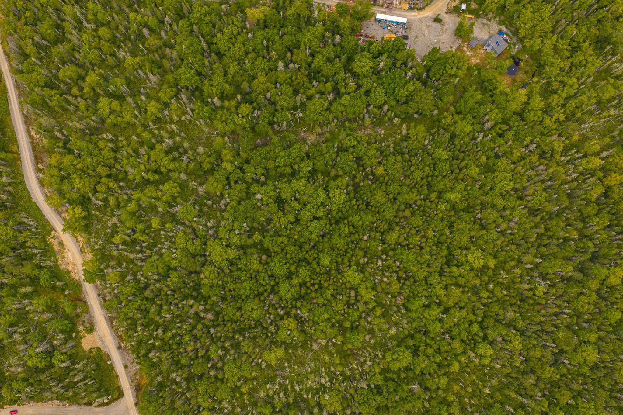 $125,000.00: Benhams Road, East Jordan