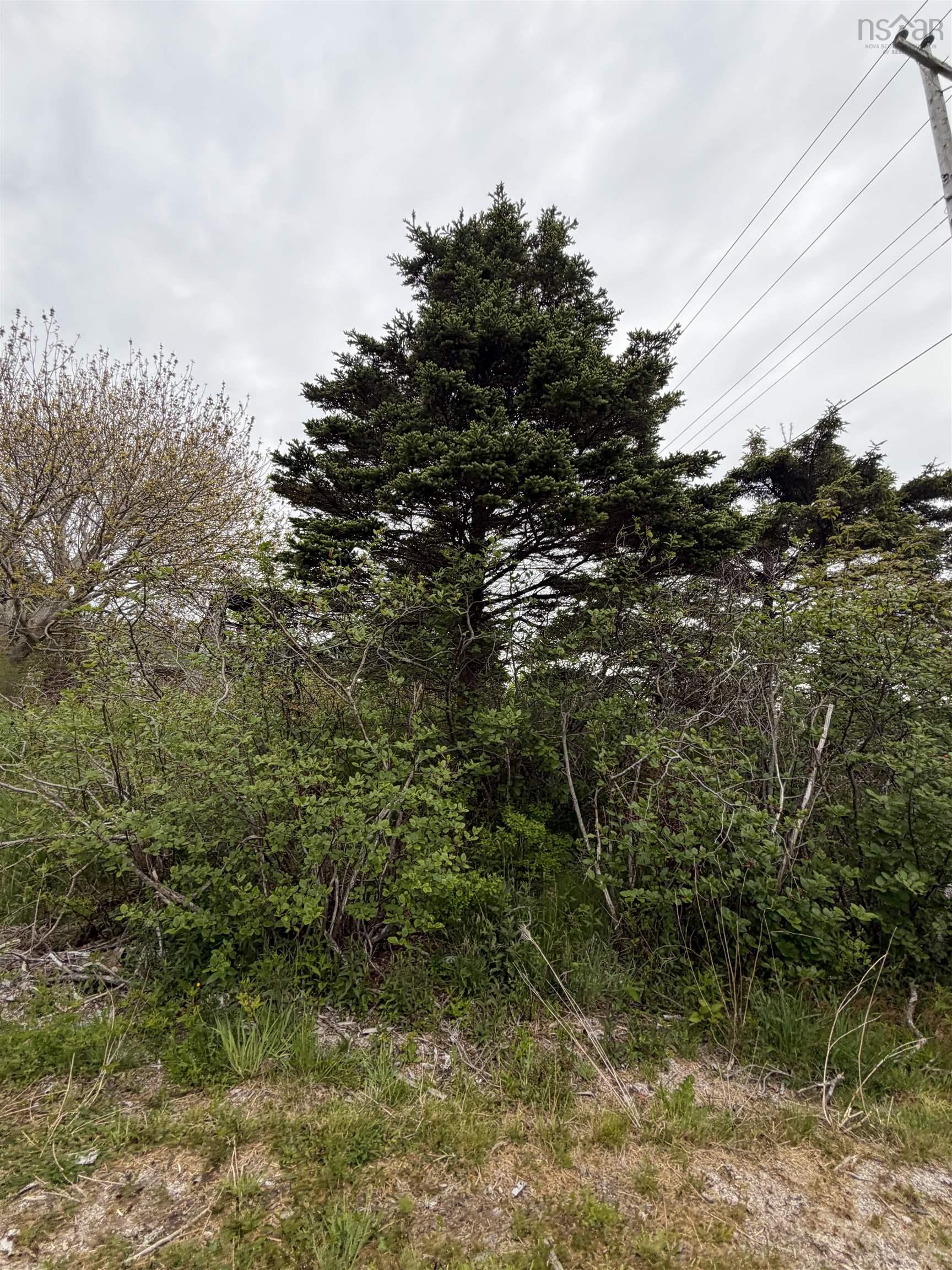 $12,000.00: 3661 Highway 217, East Ferry