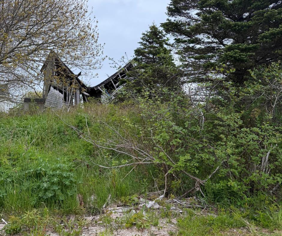 $12,000.00: 3661 Highway 217, East Ferry