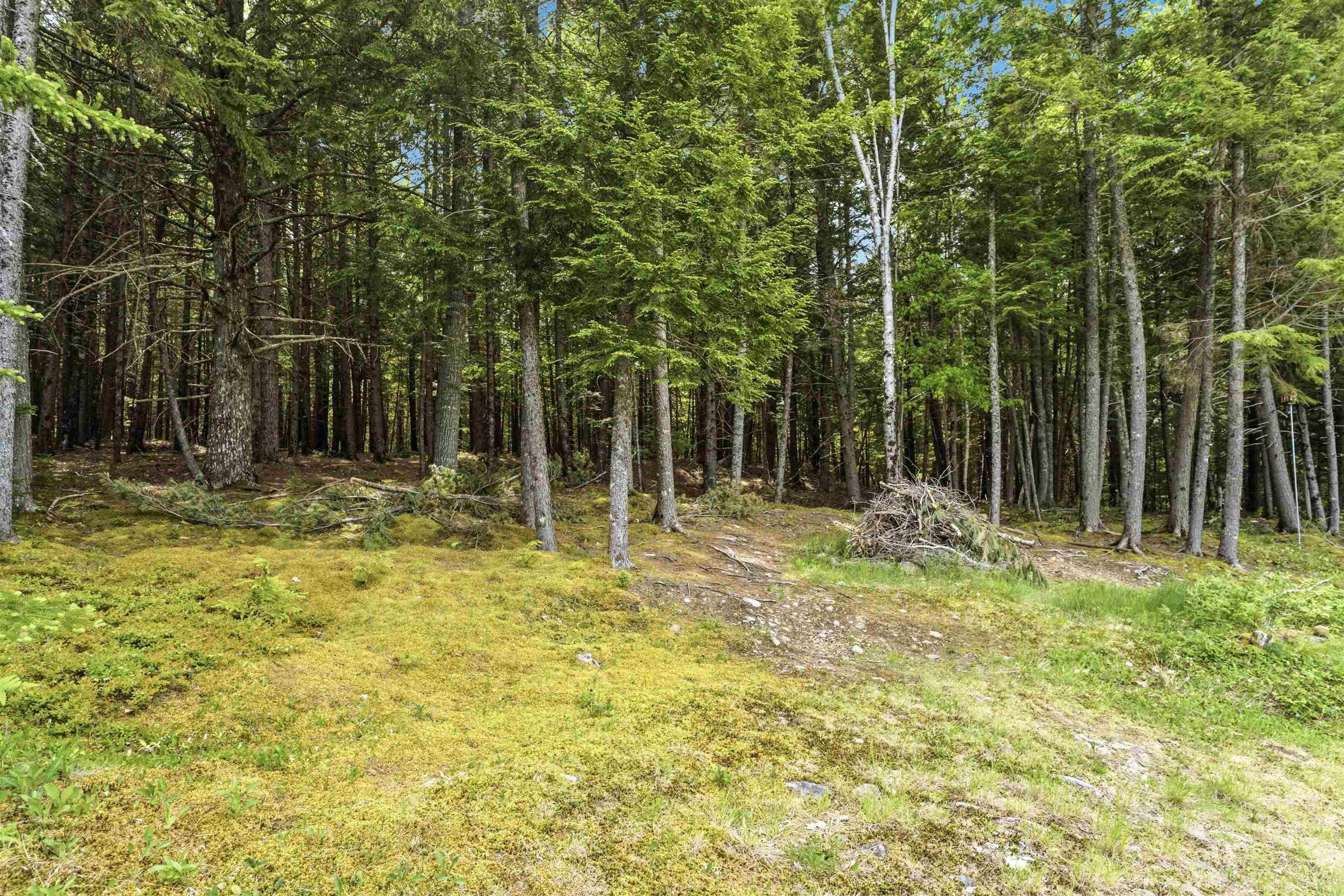 $1,100,000.00: 34 Palmer Lake Drive, Windsor Forks
