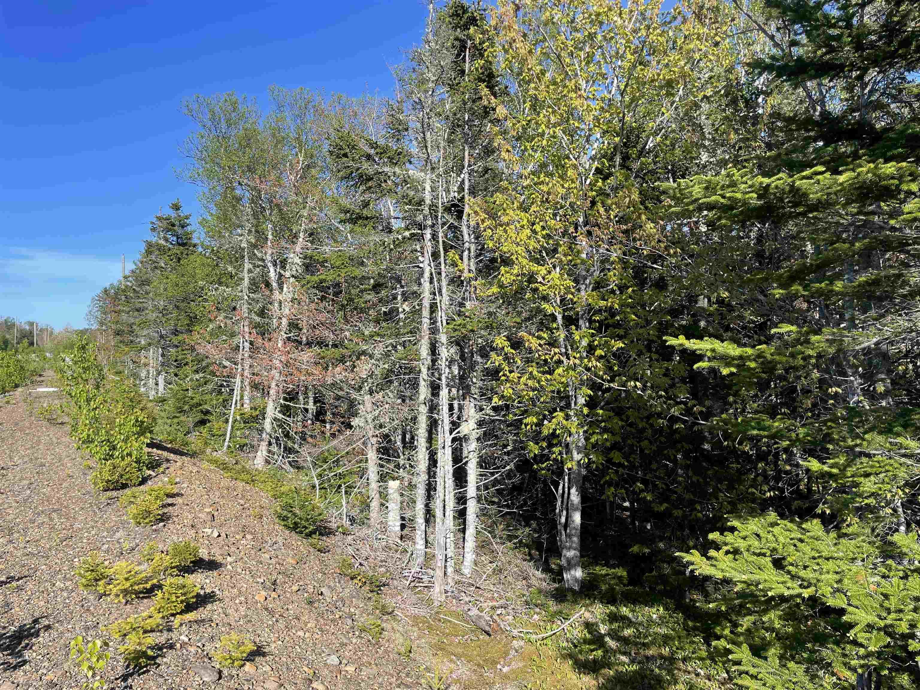 $299,000.00: Lot 6 Shieling Drive, Marion Bridge