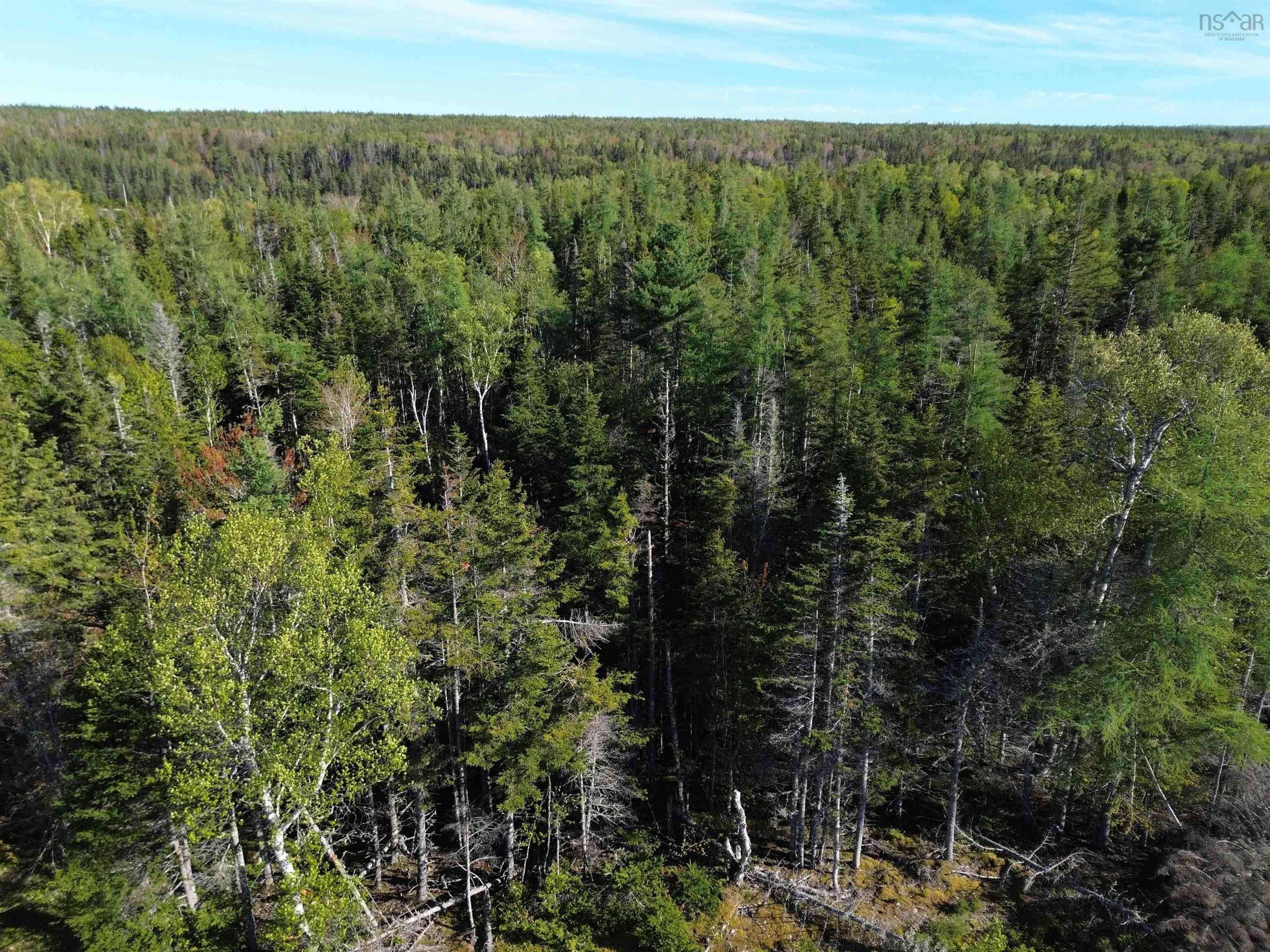 $299,000.00: Lot 6 Shieling Drive, Marion Bridge