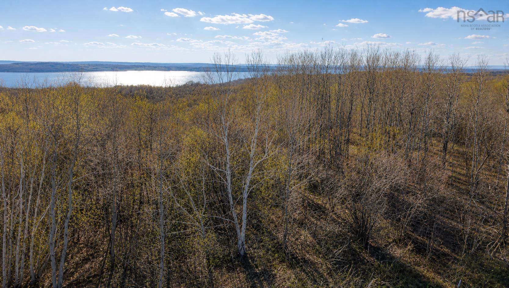 $51,900.00: lot 1 Cornishtown Road, South Bar