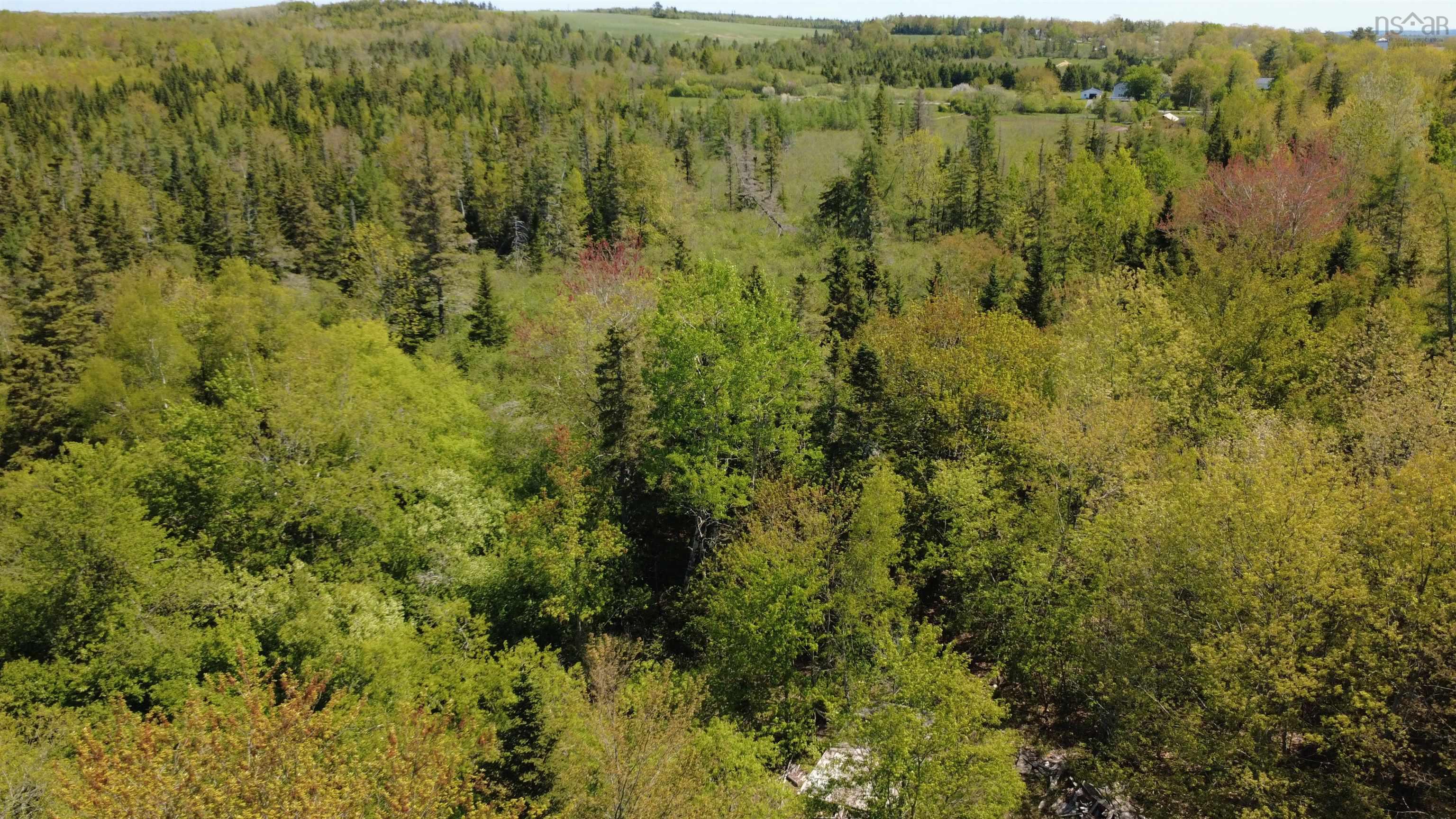 $46,900.00: 12520 Highway 224, Middle Musquodoboit