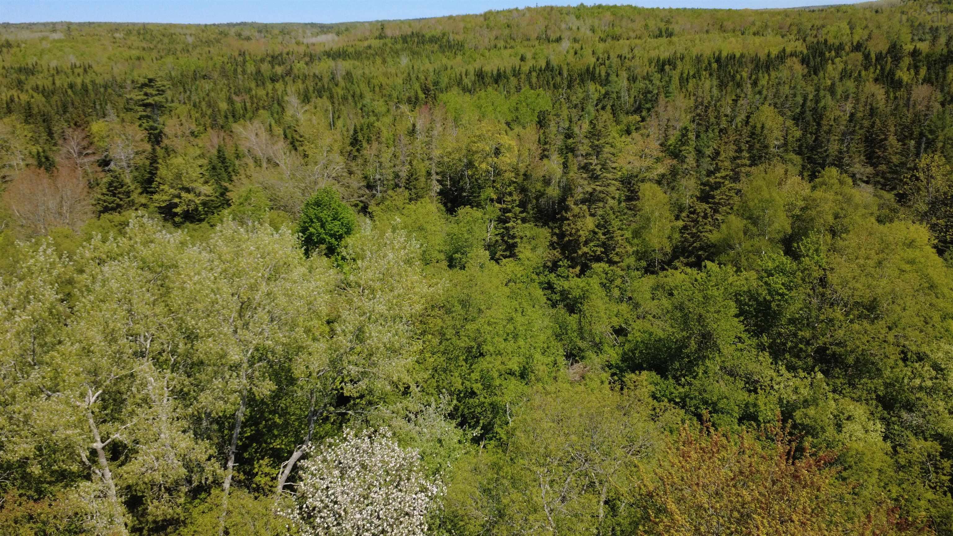 $46,900.00: 12520 Highway 224, Middle Musquodoboit