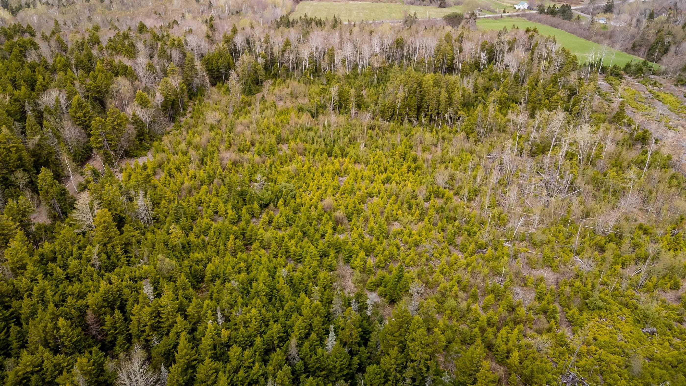 $80,000.00: Lot Highway 215, Moose Brook