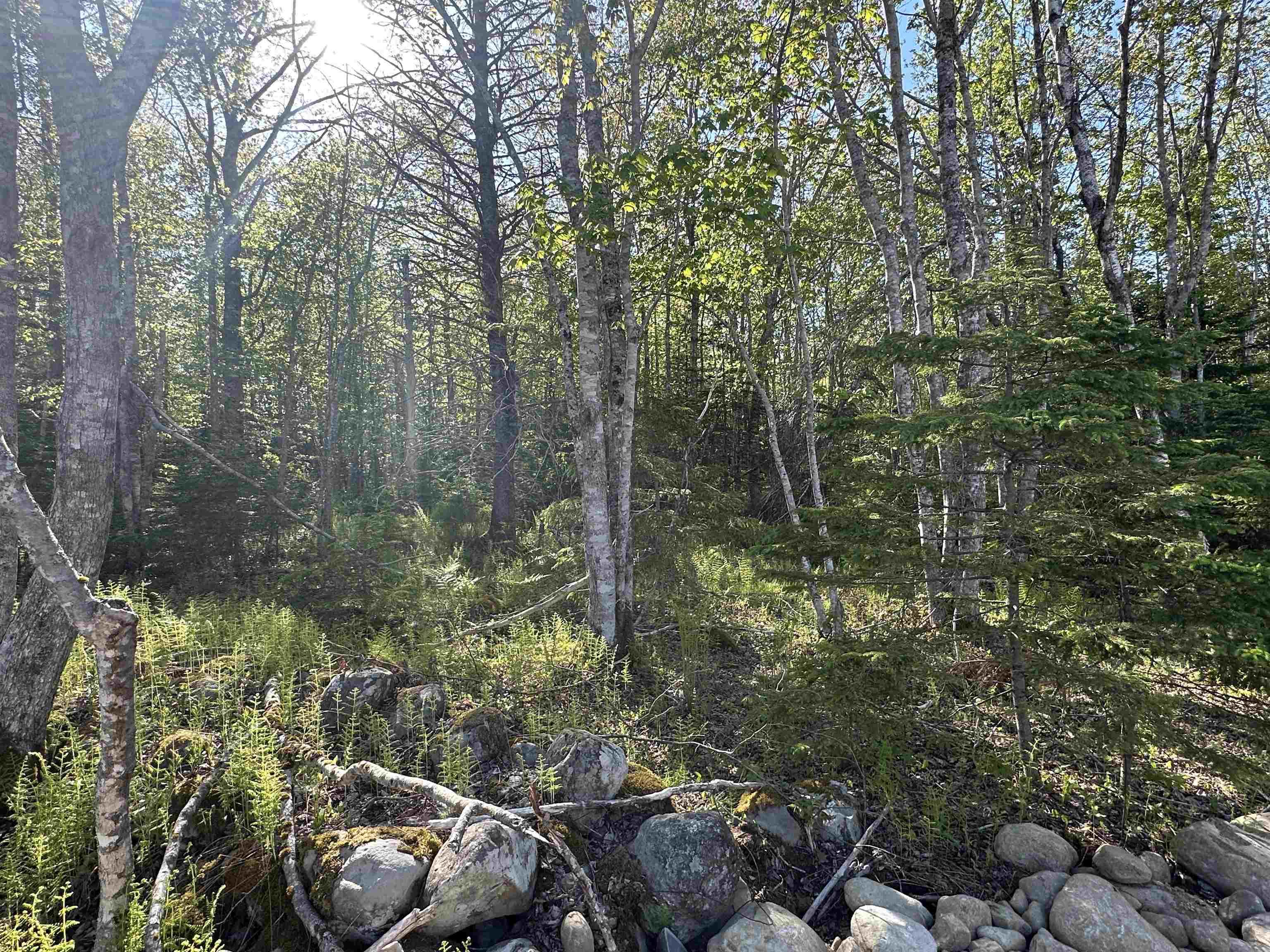 $39,900.00: Lot 2 Shore Road, Western Head