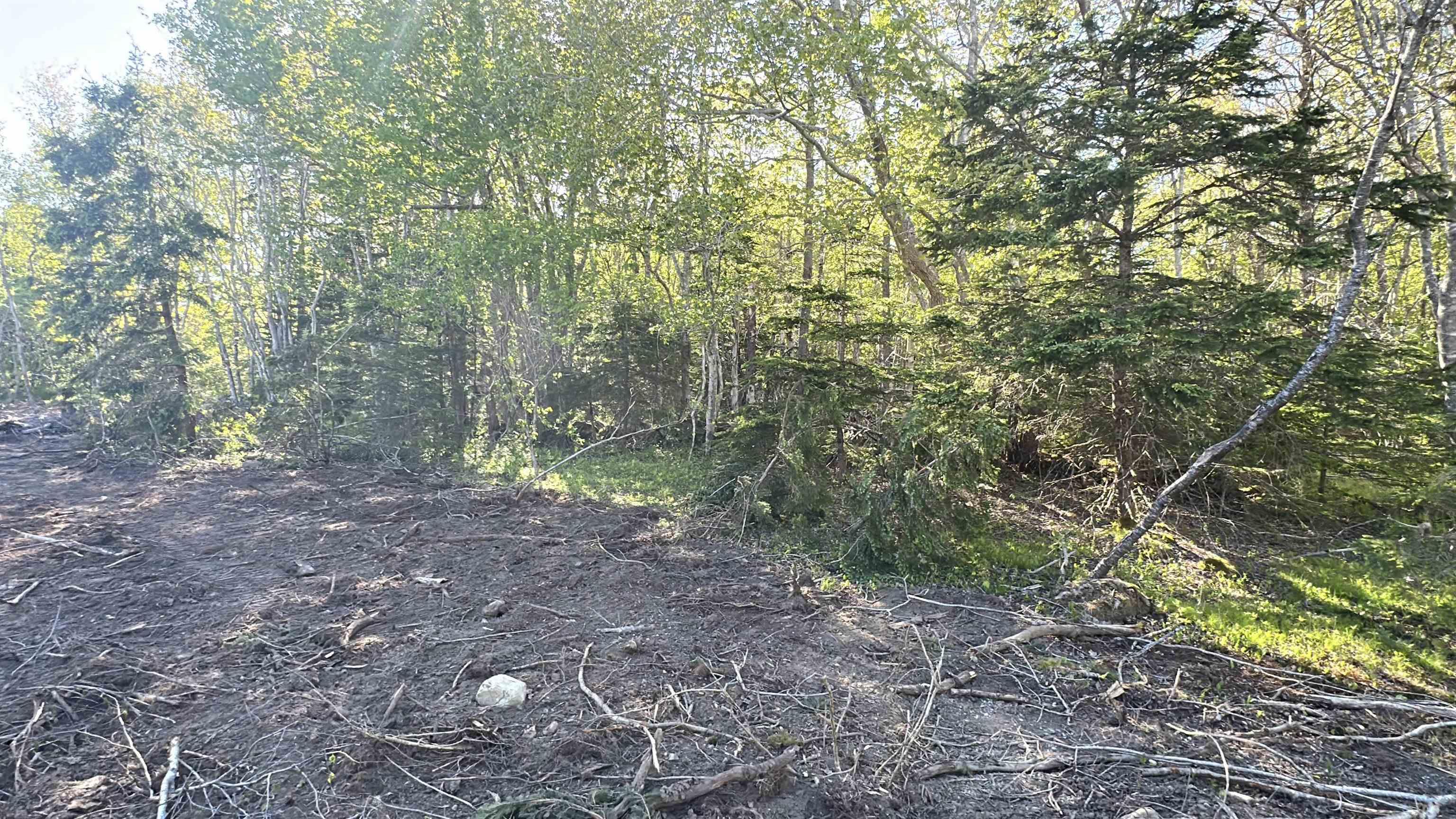 $39,900.00: Lot 2 Shore Road, Western Head