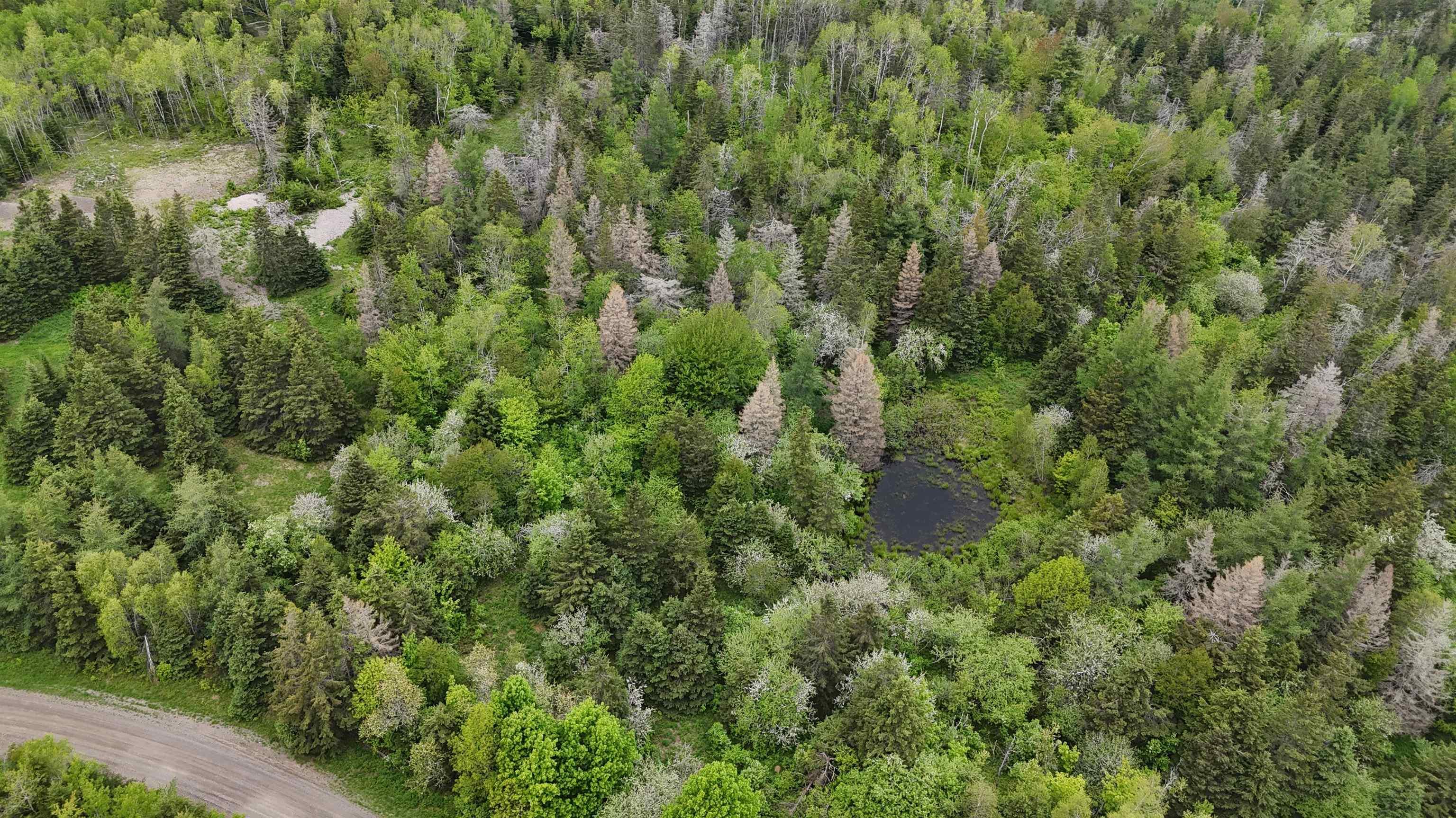 $44,460.00: E Matheson Road, Lansdowne Station