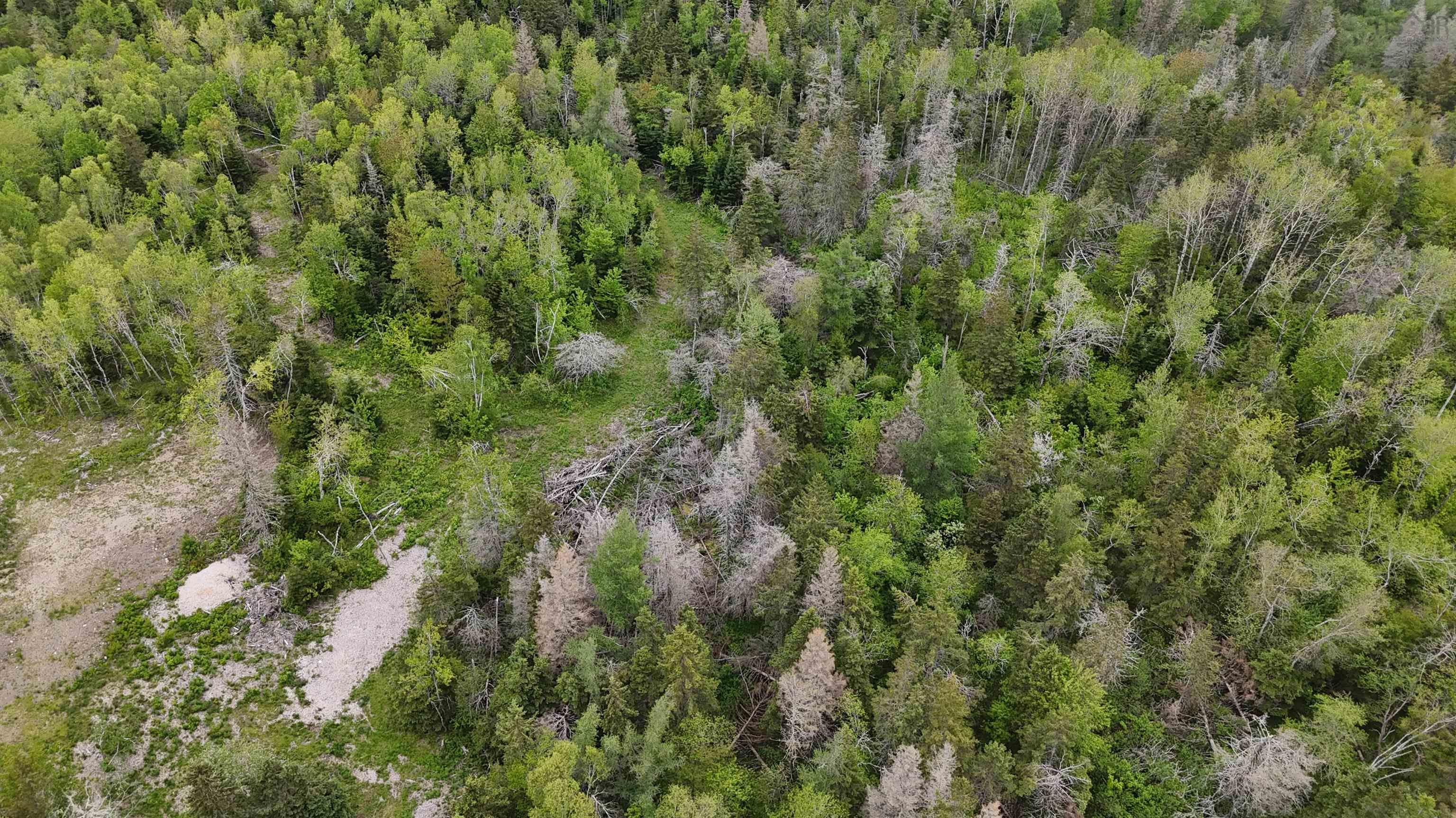 $44,460.00: E Matheson Road, Lansdowne Station