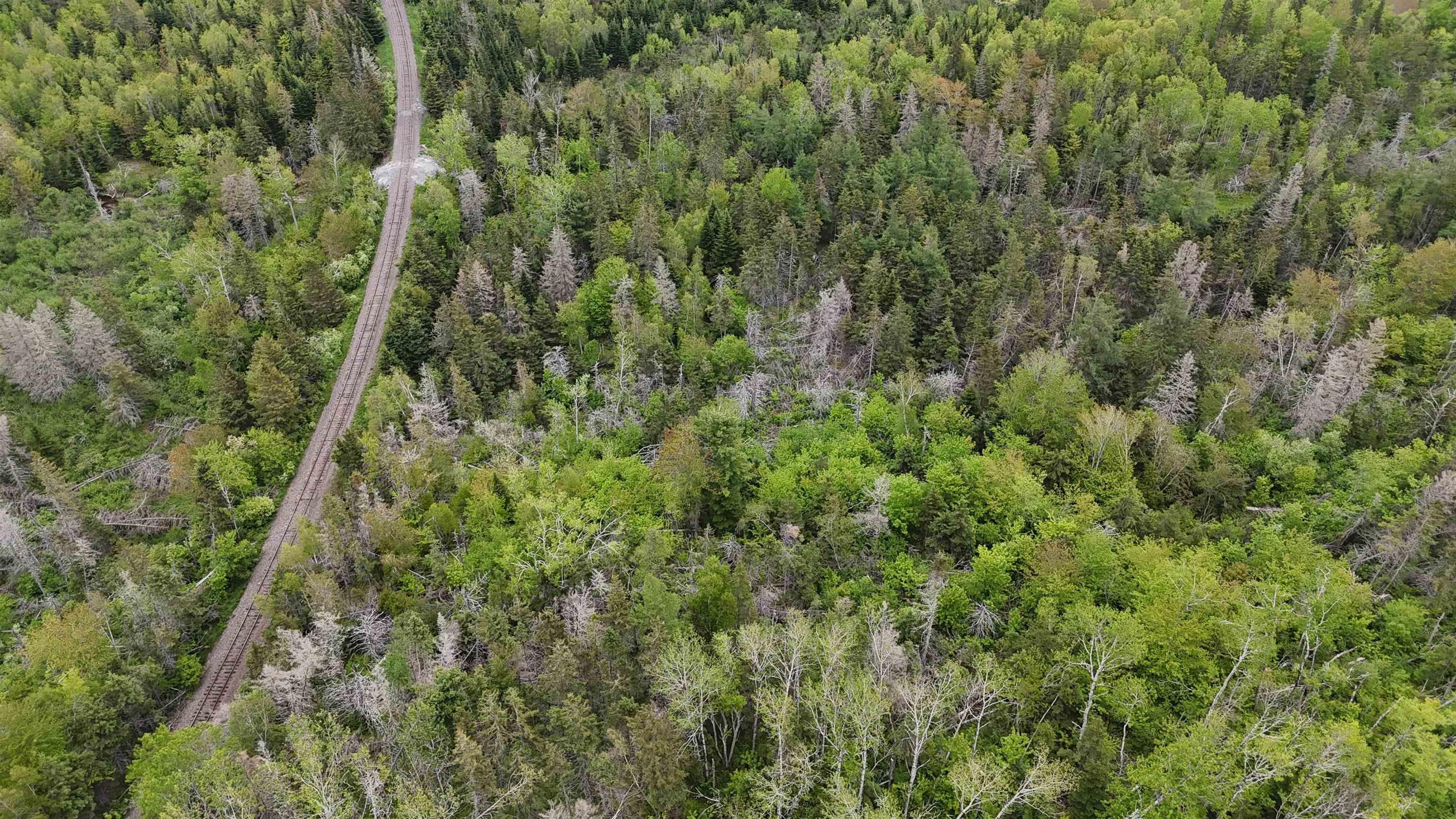 $44,460.00: E Matheson Road, Lansdowne Station