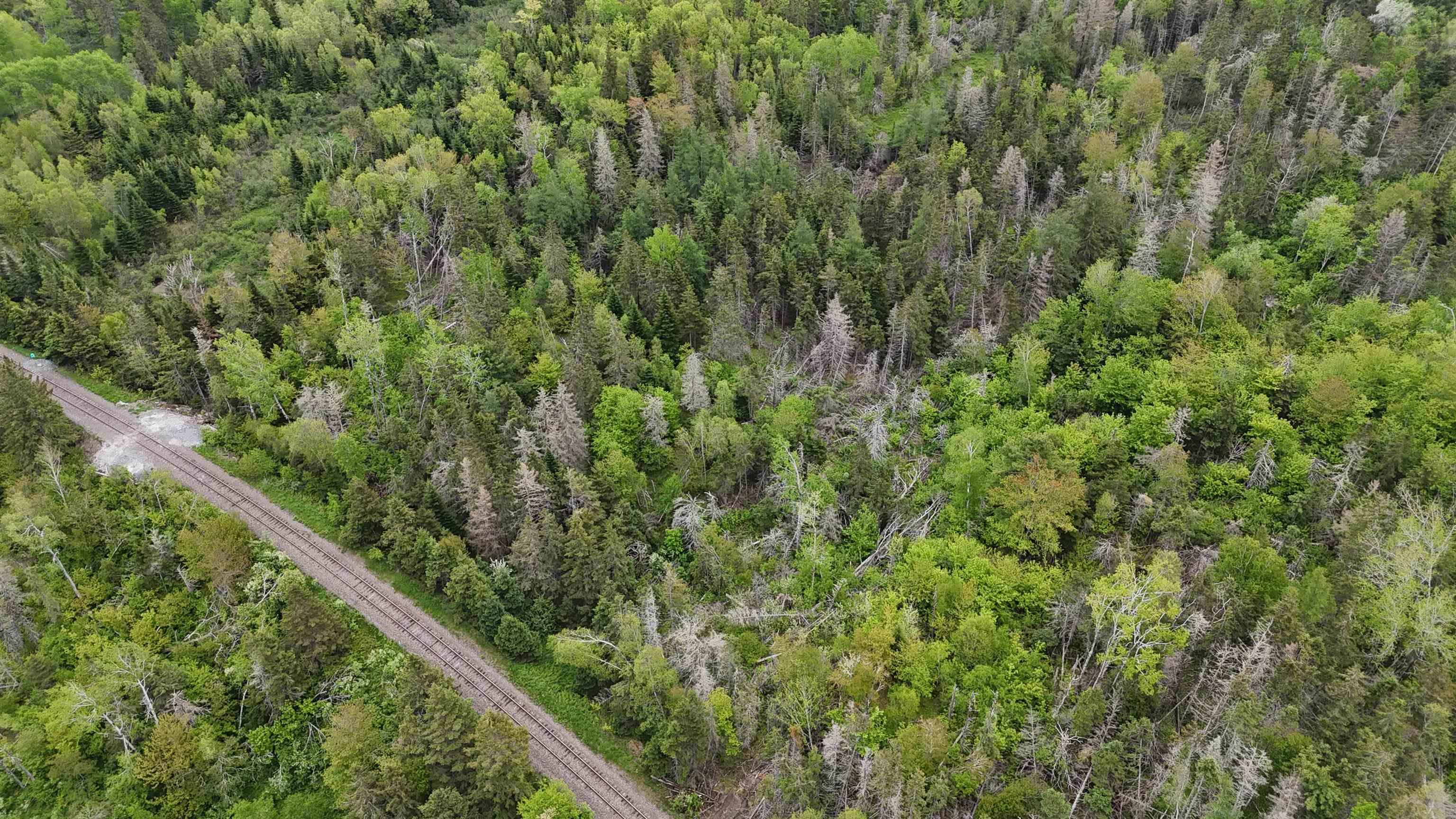 $44,460.00: E Matheson Road, Lansdowne Station