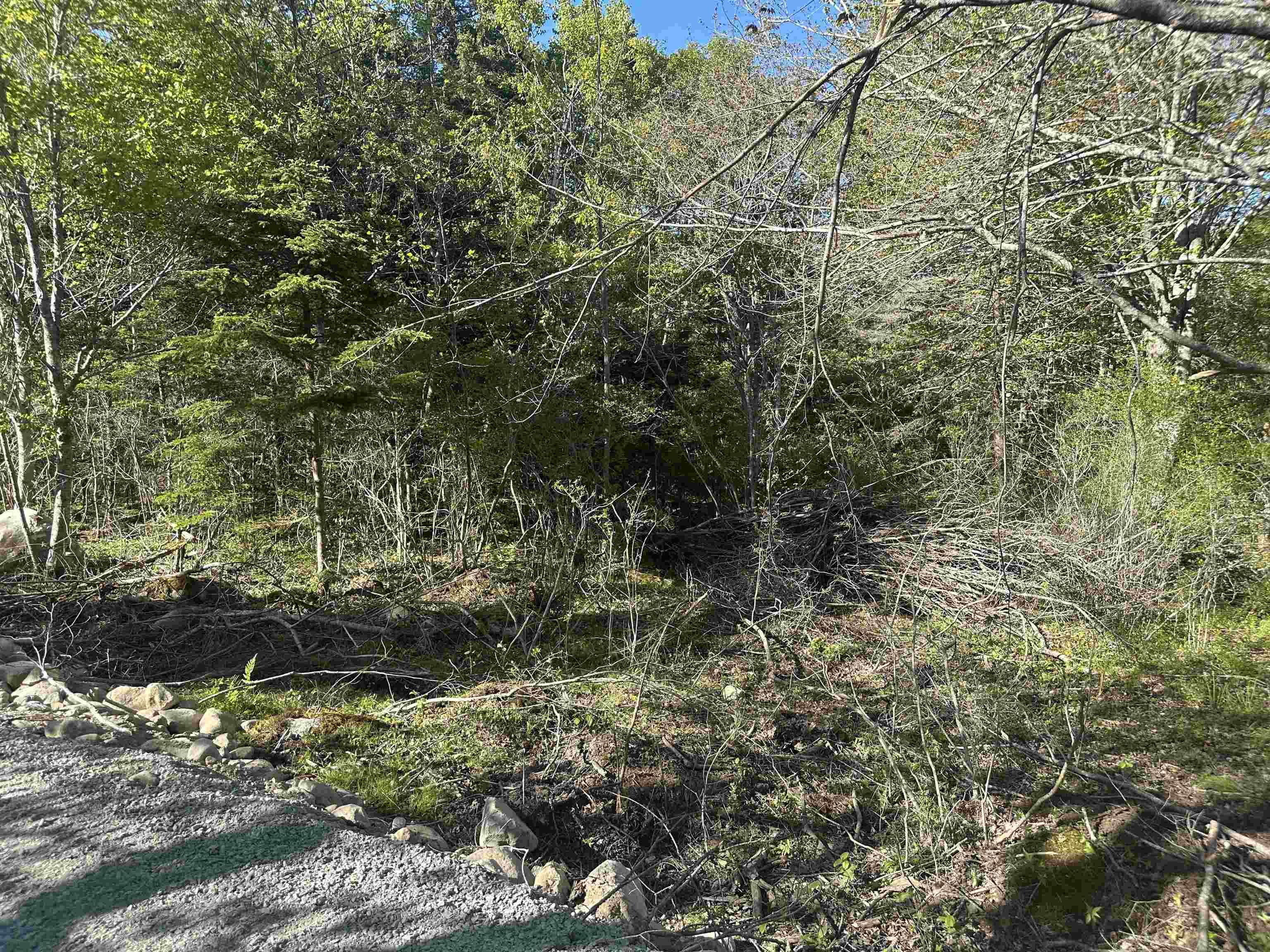 $49,900.00: Lot 7 Shore Road, Western Head