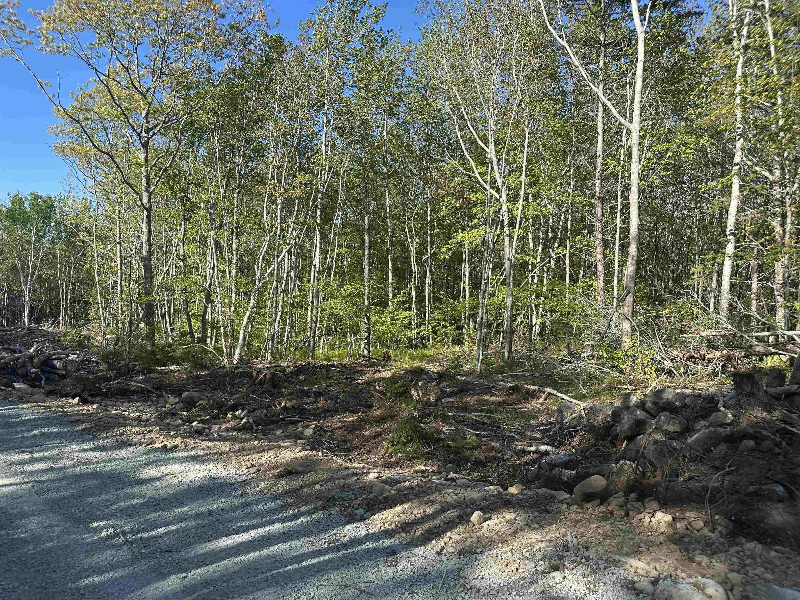 $49,900.00: Lot 8 Shore Road, Western Head