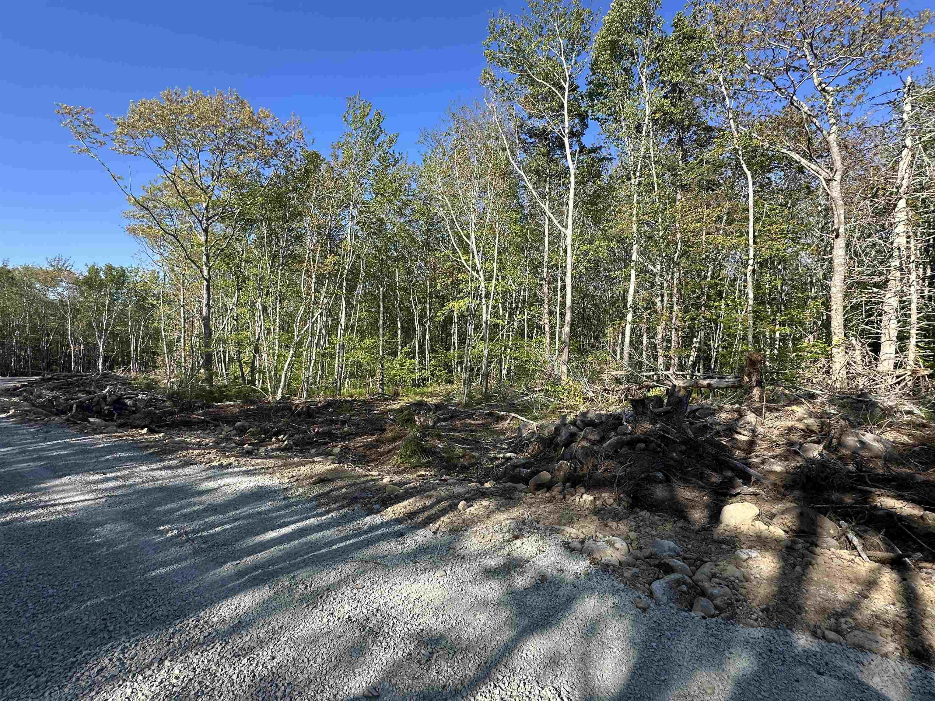 $49,900.00: Lot 8 Shore Road, Western Head
