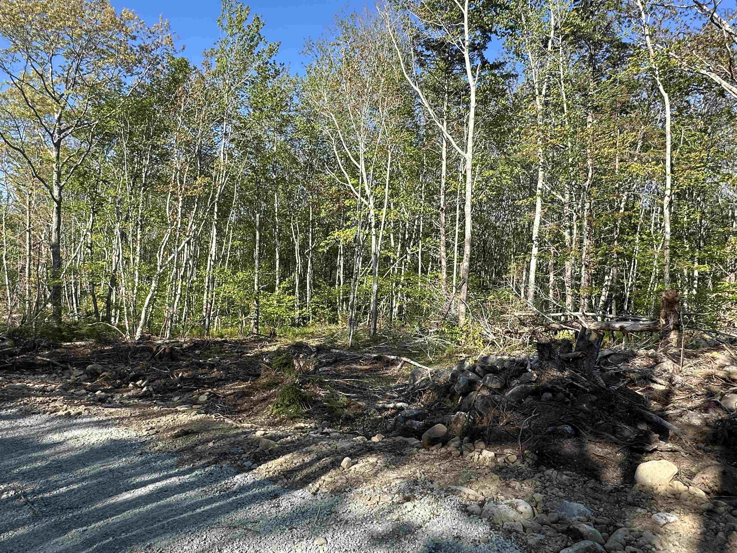 $49,900.00: Lot 8 Shore Road, Western Head