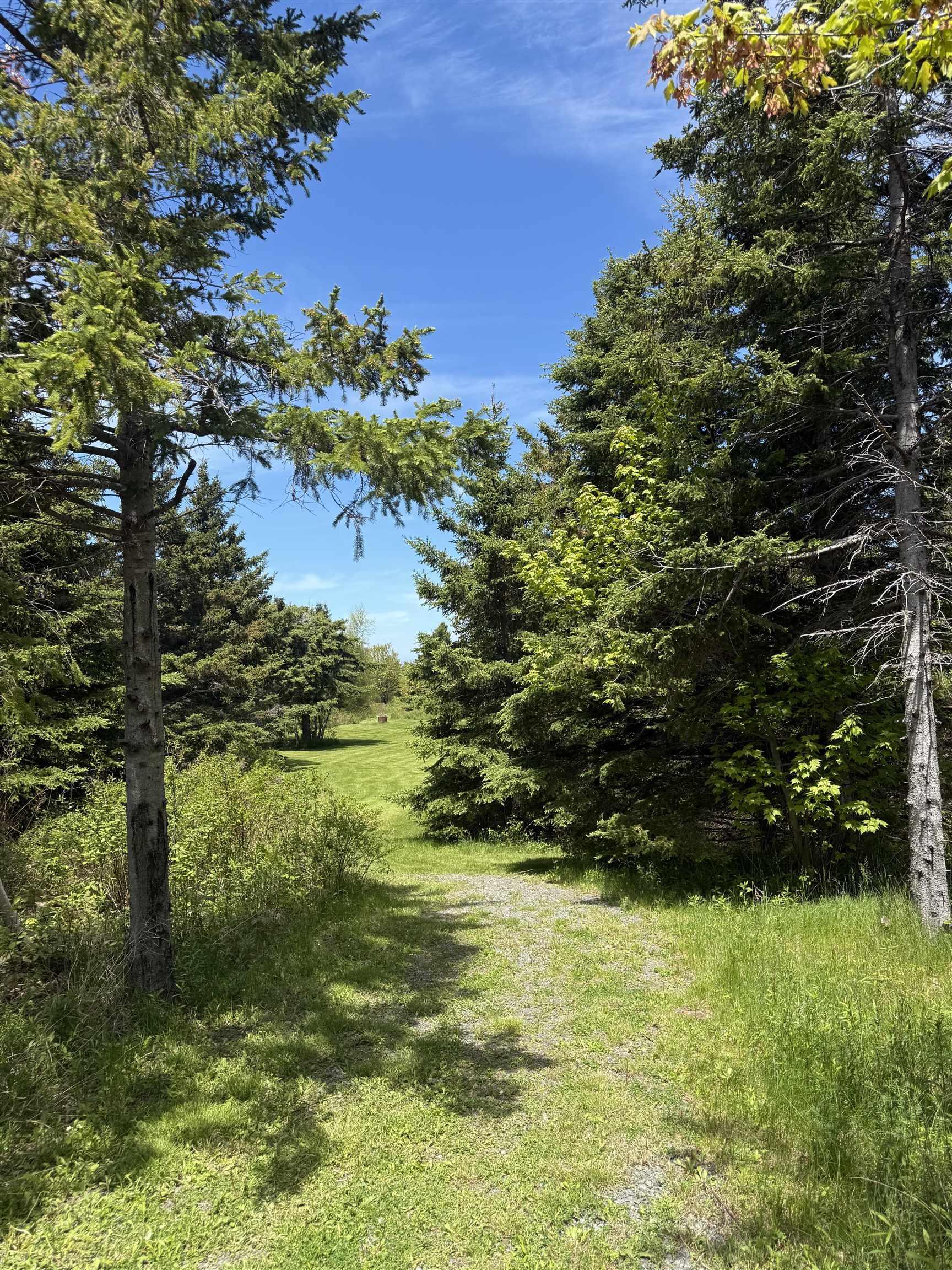 $135,000.00: Lot 10 889 Blue Sea Road, Malagash Point