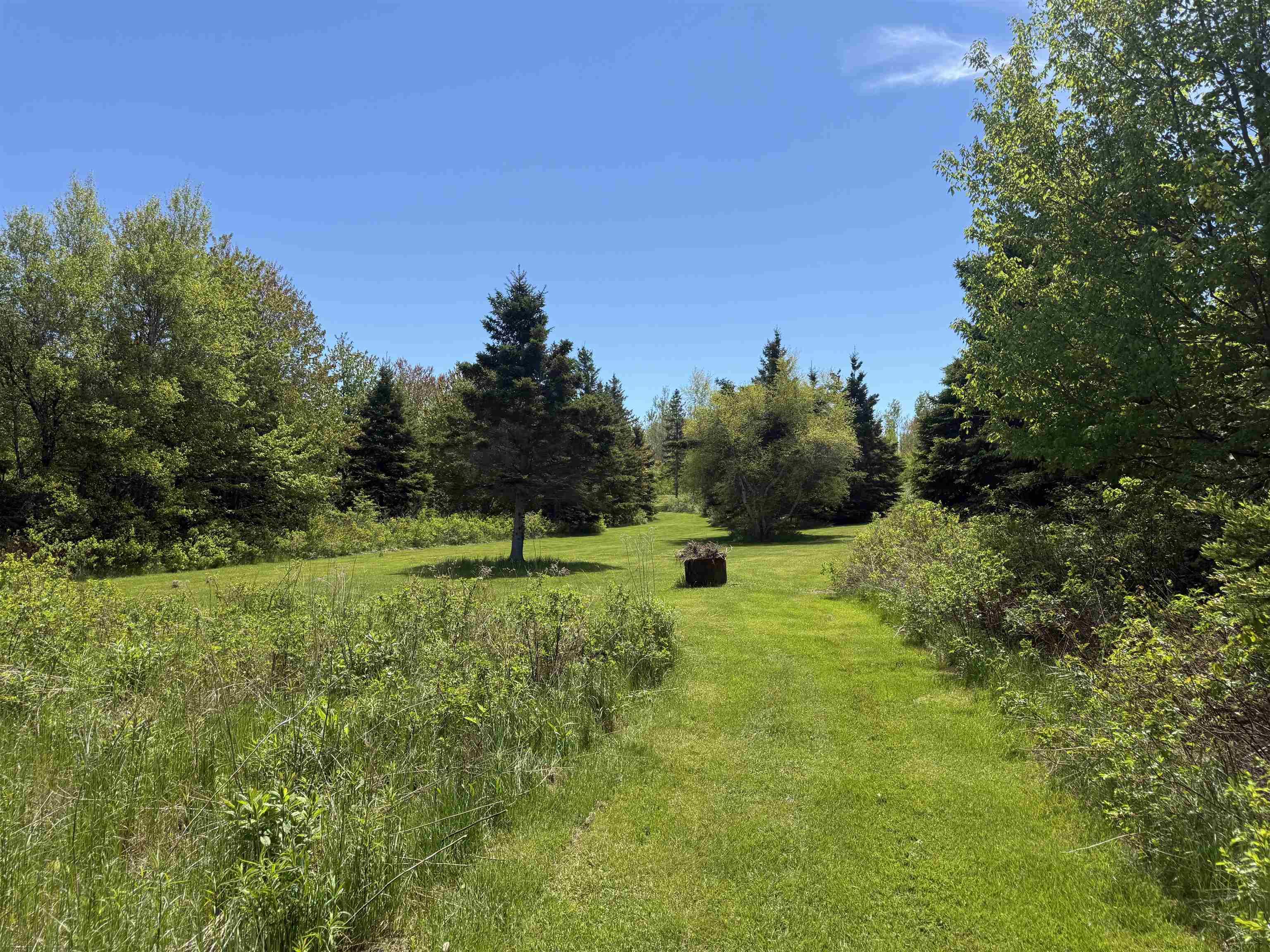 $135,000.00: Lot 10 889 Blue Sea Road, Malagash Point