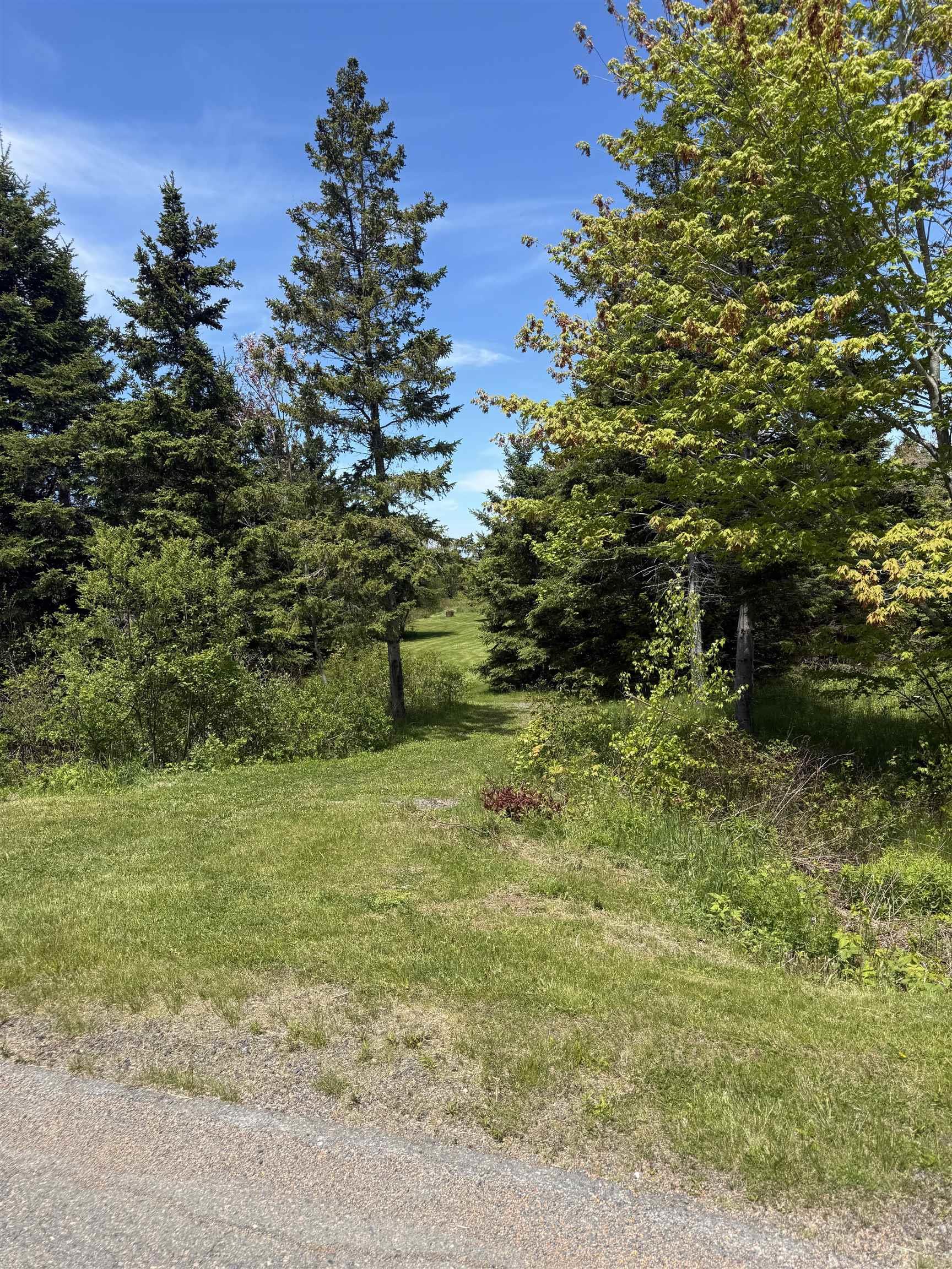 $135,000.00: Lot 10 889 Blue Sea Road, Malagash Point