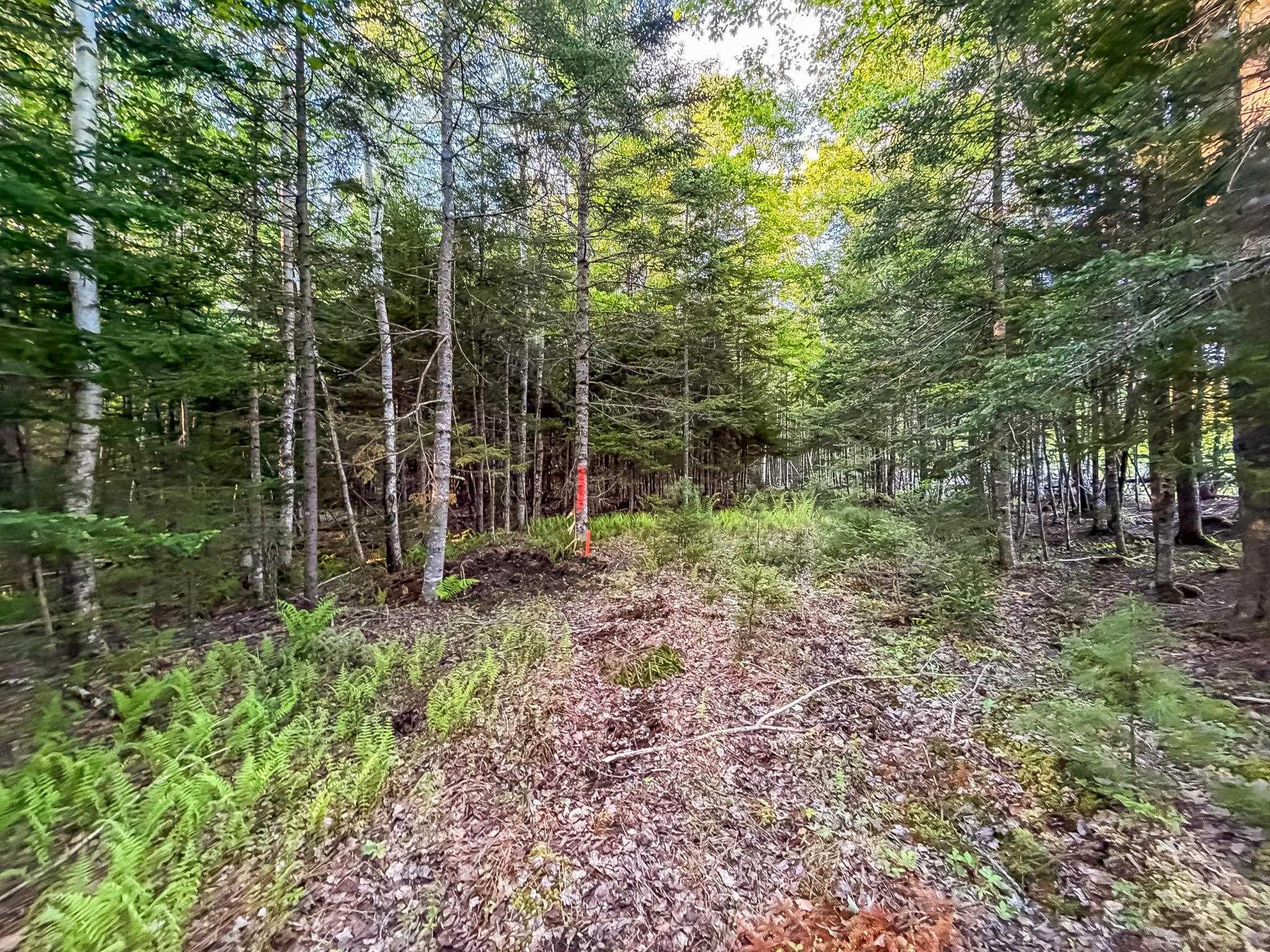 $69,900.00: Lot (PID 60242856) Mullock Road, Rhodes Corner