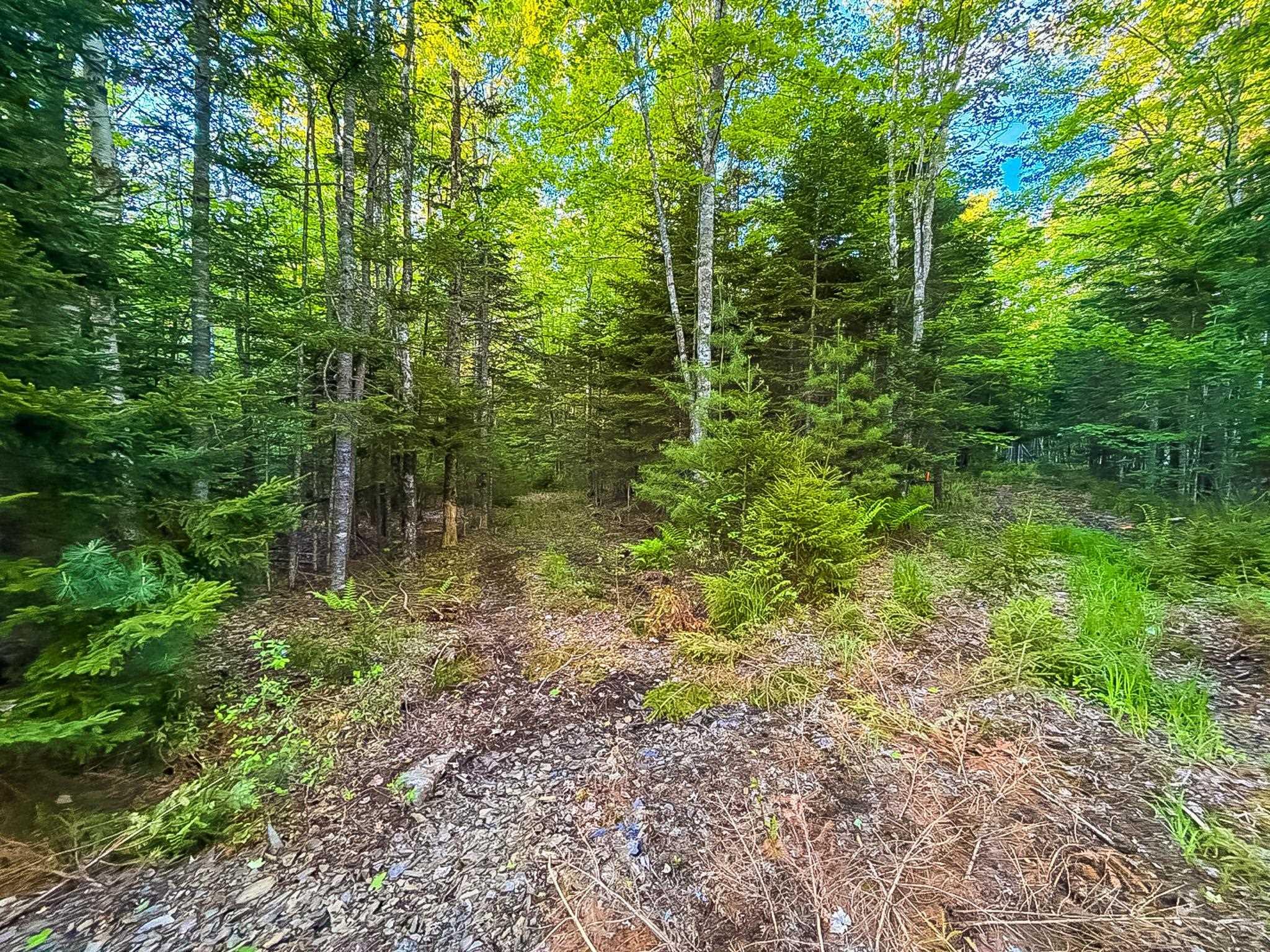 $69,900.00: Lot (PID 60242856) Mullock Road, Rhodes Corner