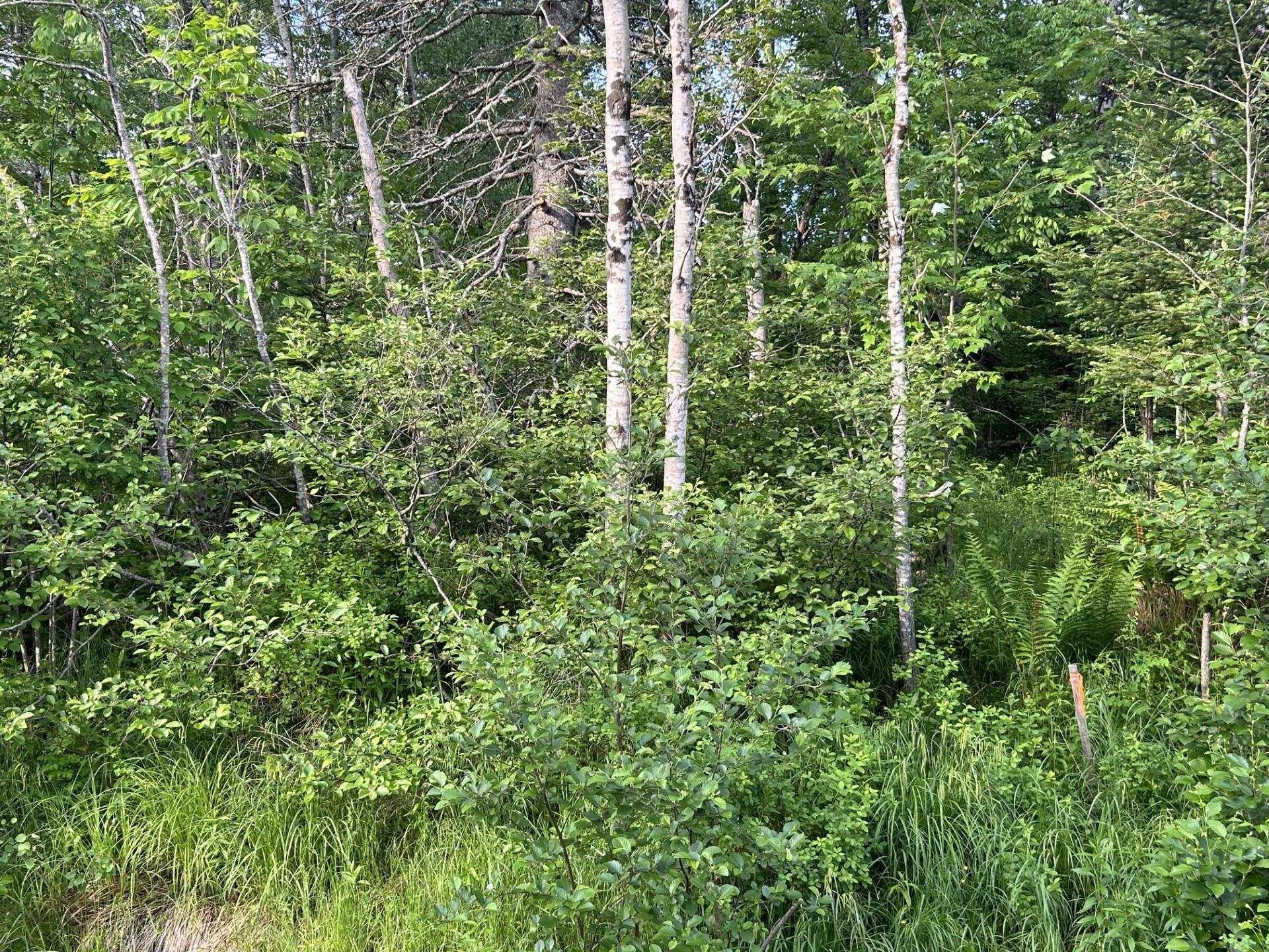 $69,000.00: Lot K1 Greenfield Road, Greenfield